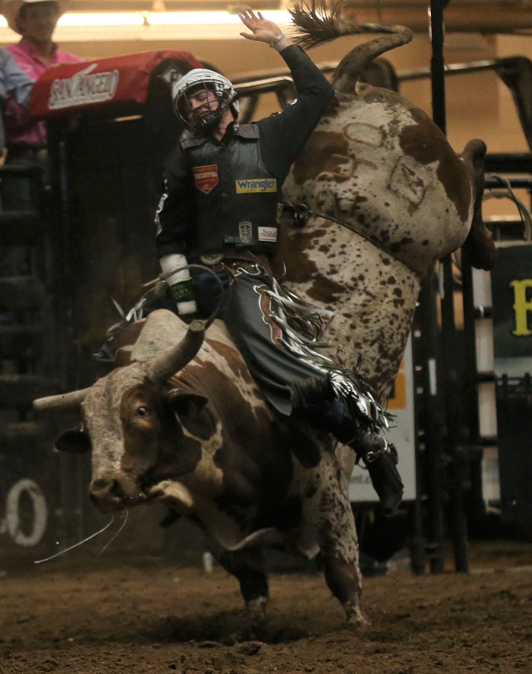 Cool Bull Riding Wallpapers