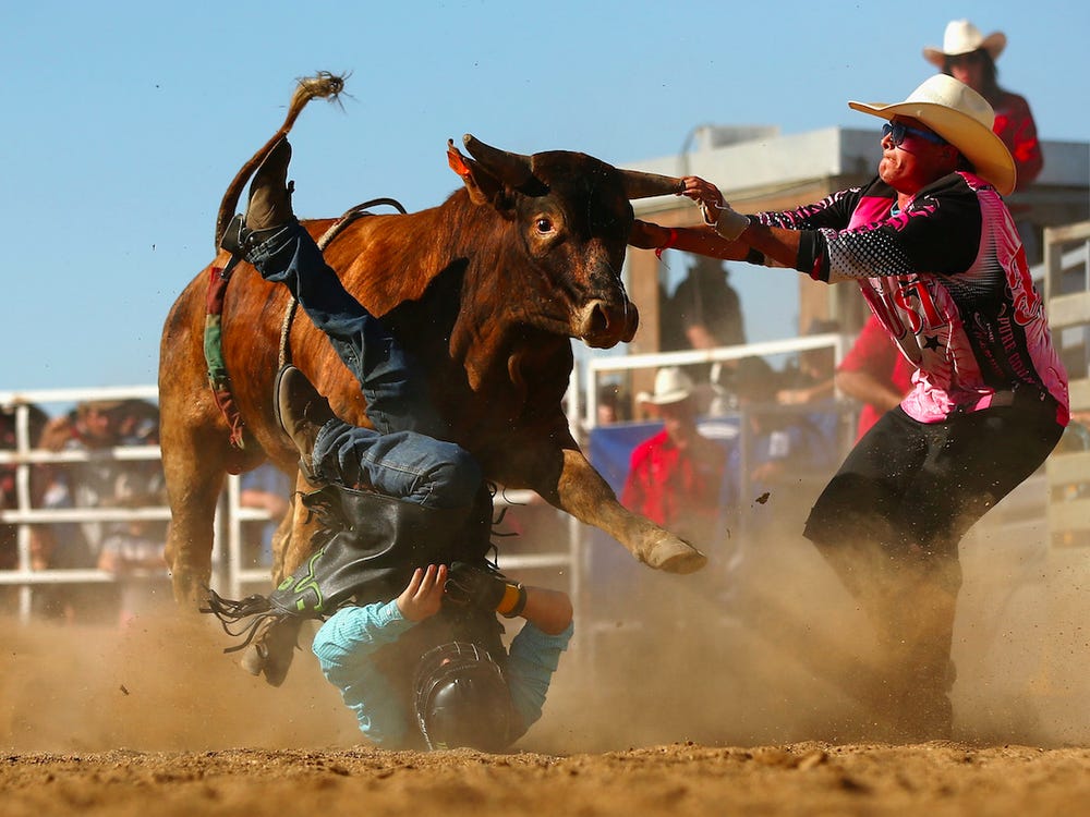 Cool Bull Riding Wallpapers