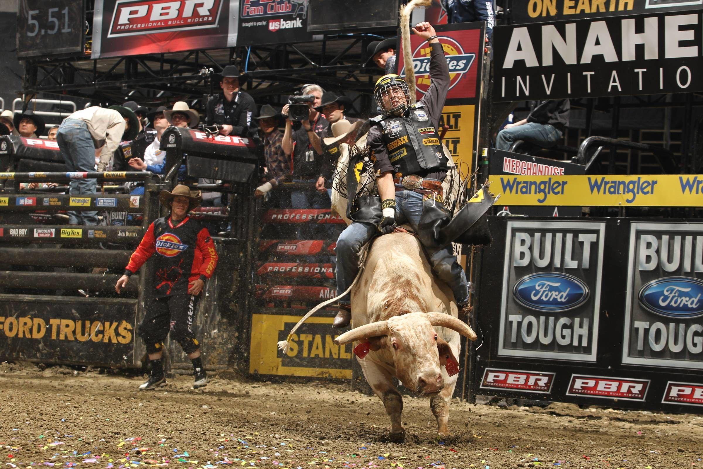 Cool Bull Riding Wallpapers