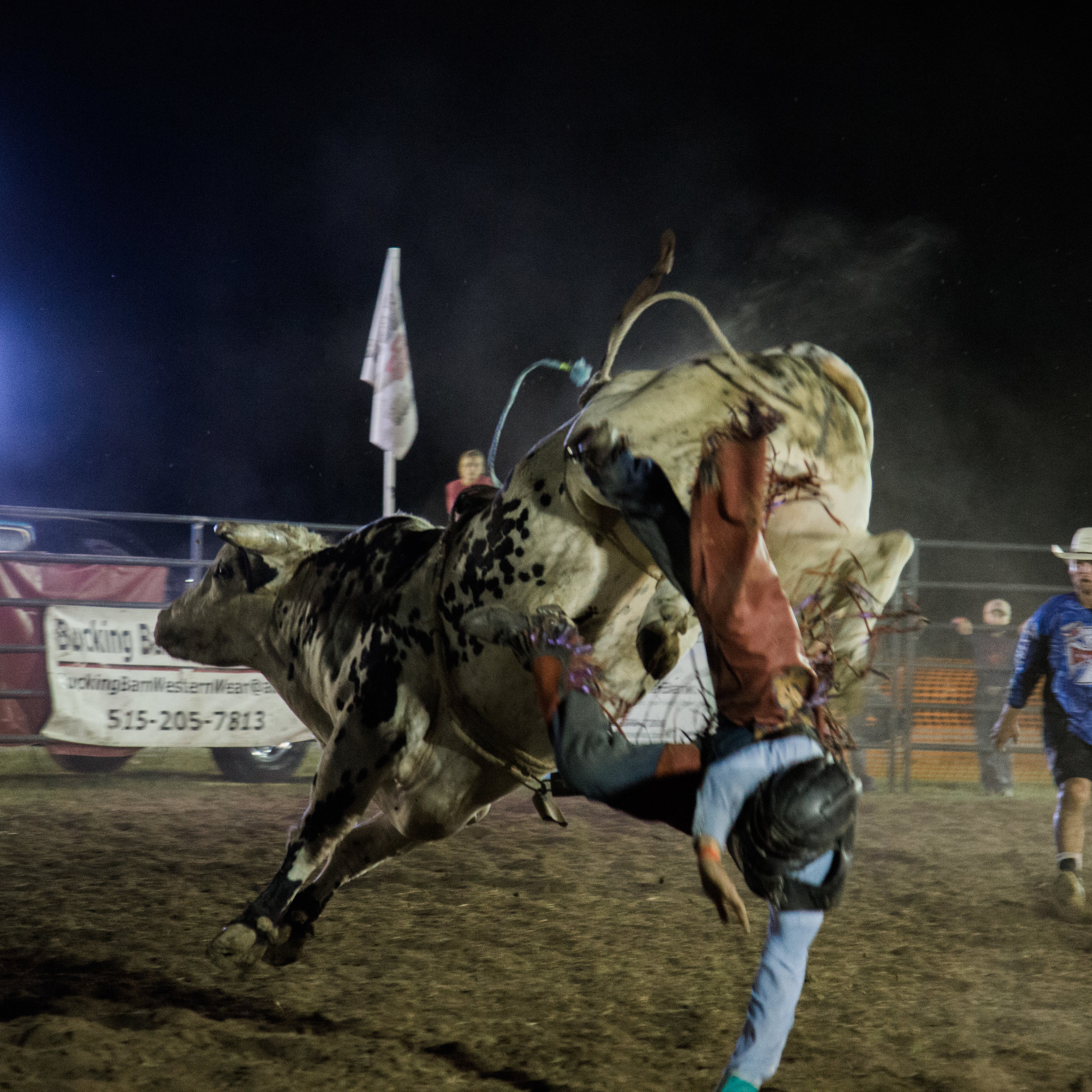 Cool Bull Riding Wallpapers