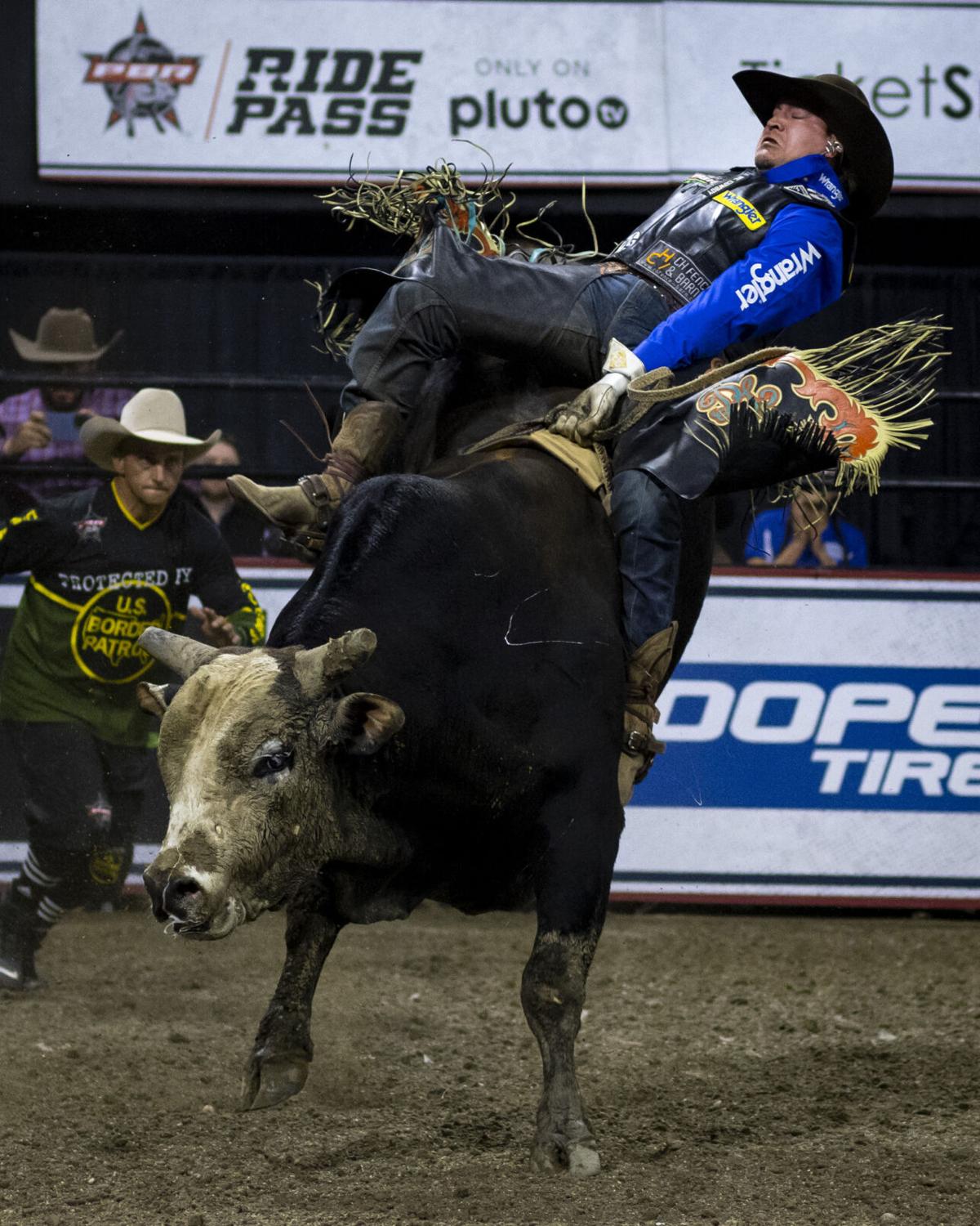 Cool Bull Riding Wallpapers