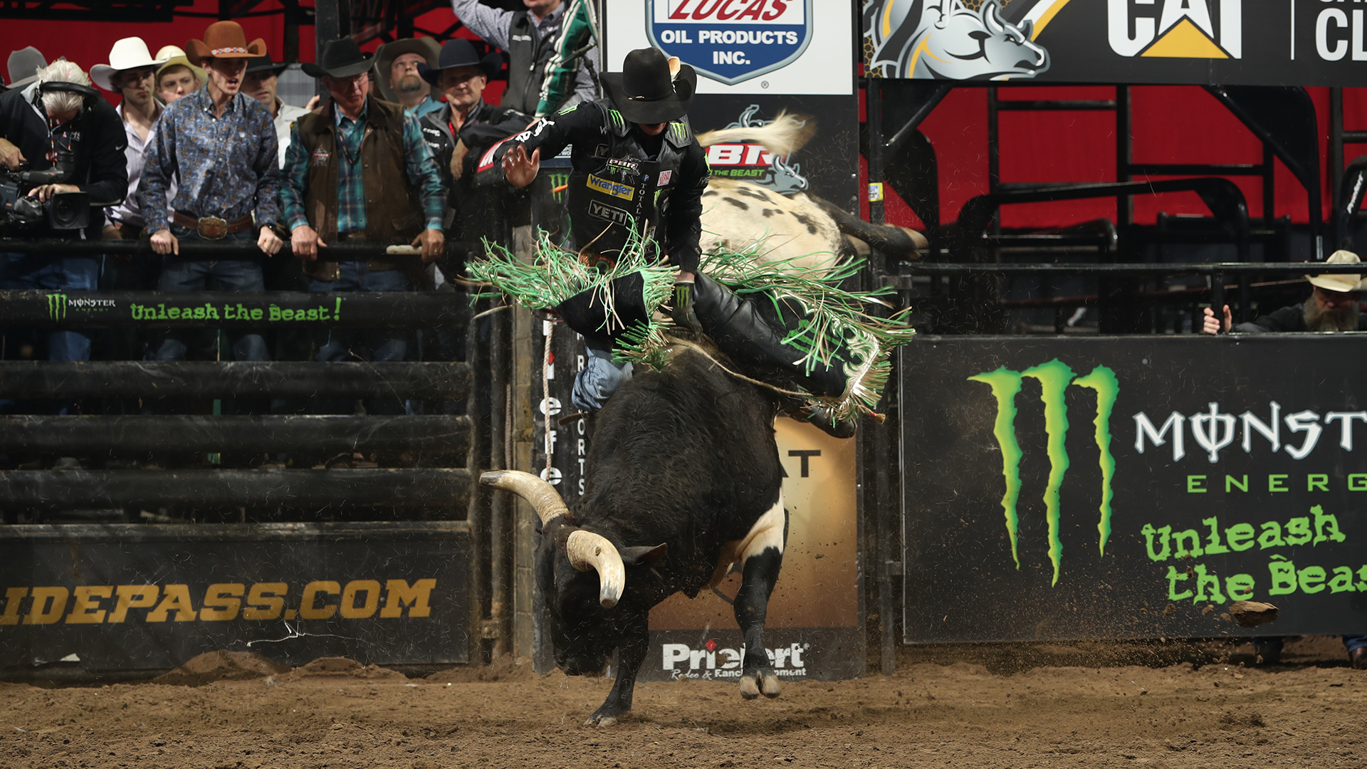 Cool Bull Riding Wallpapers