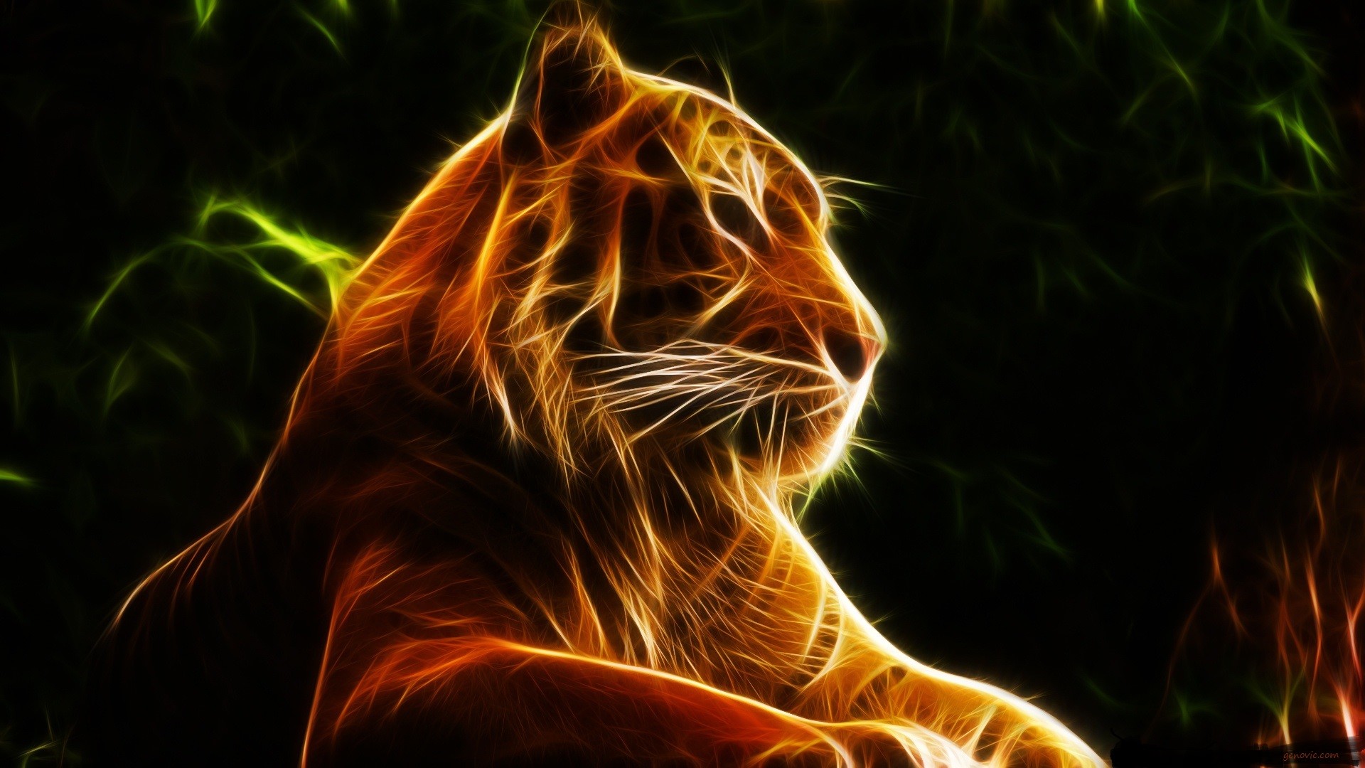 Cool Fire Tiger Wallpapers