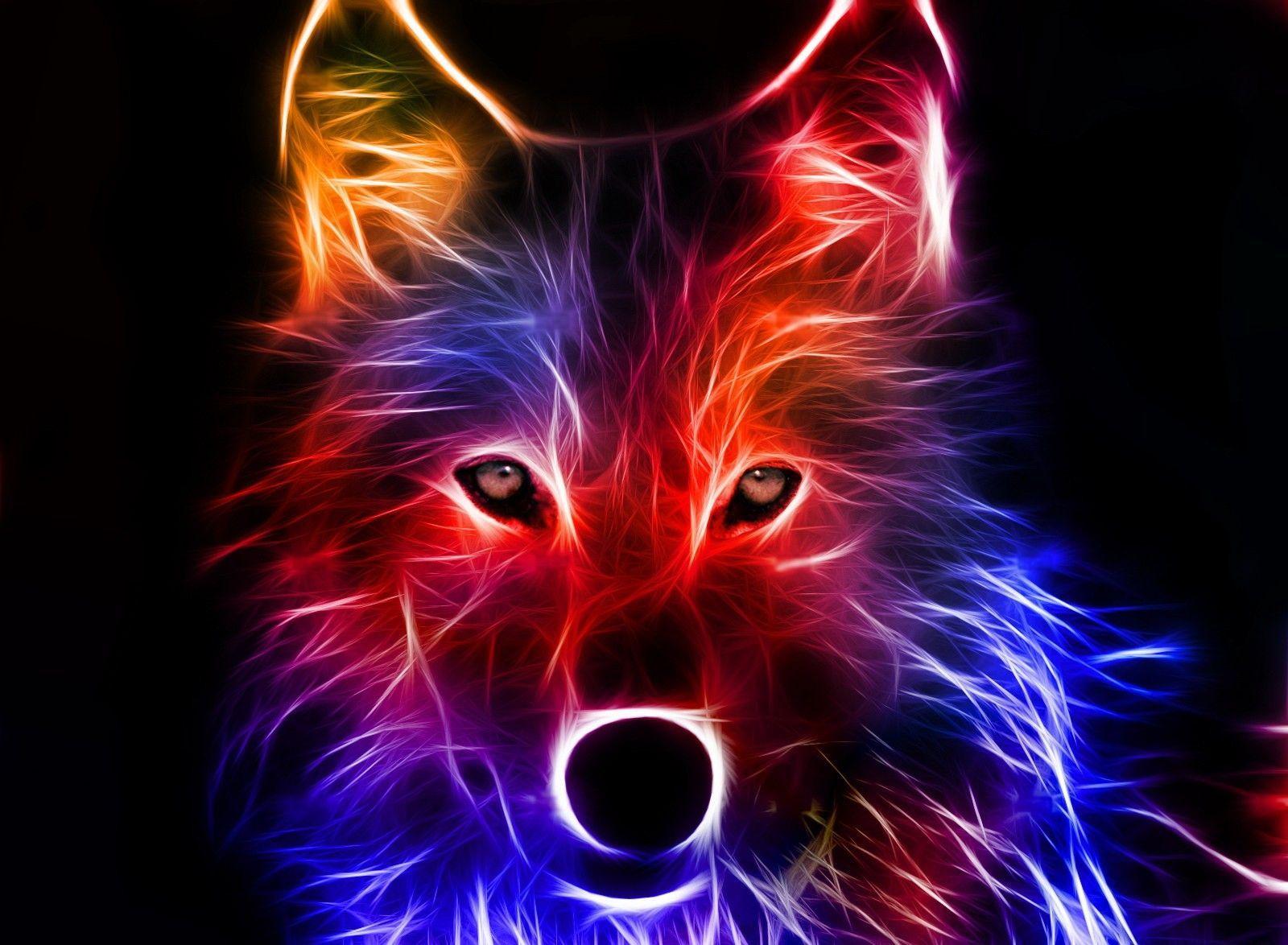 Cool Rainbow Wolf Wallpapers