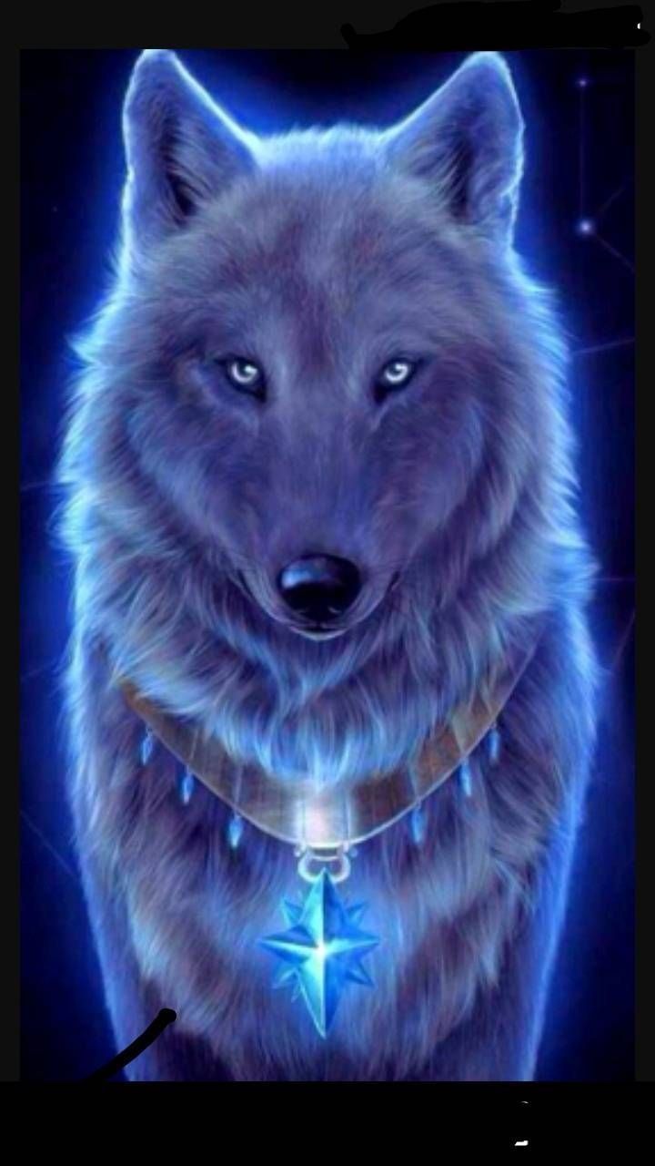 Cool Rainbow Wolf Wallpapers