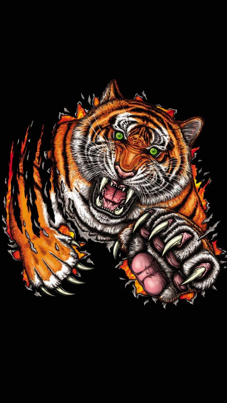 Cool Tiger Warrior Wallpapers