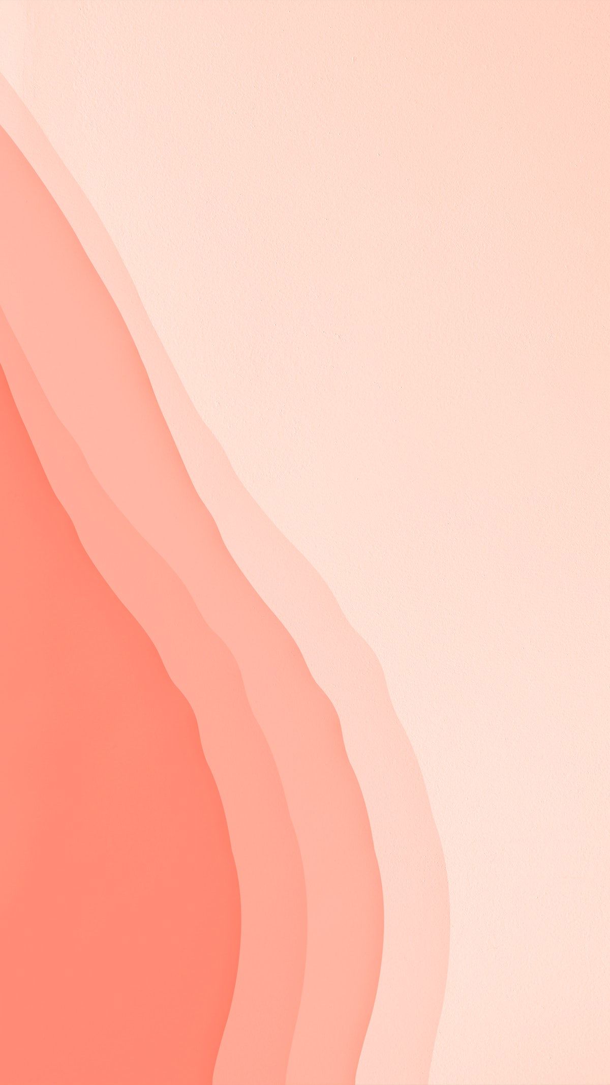Coral Aesthetic Wallpapers