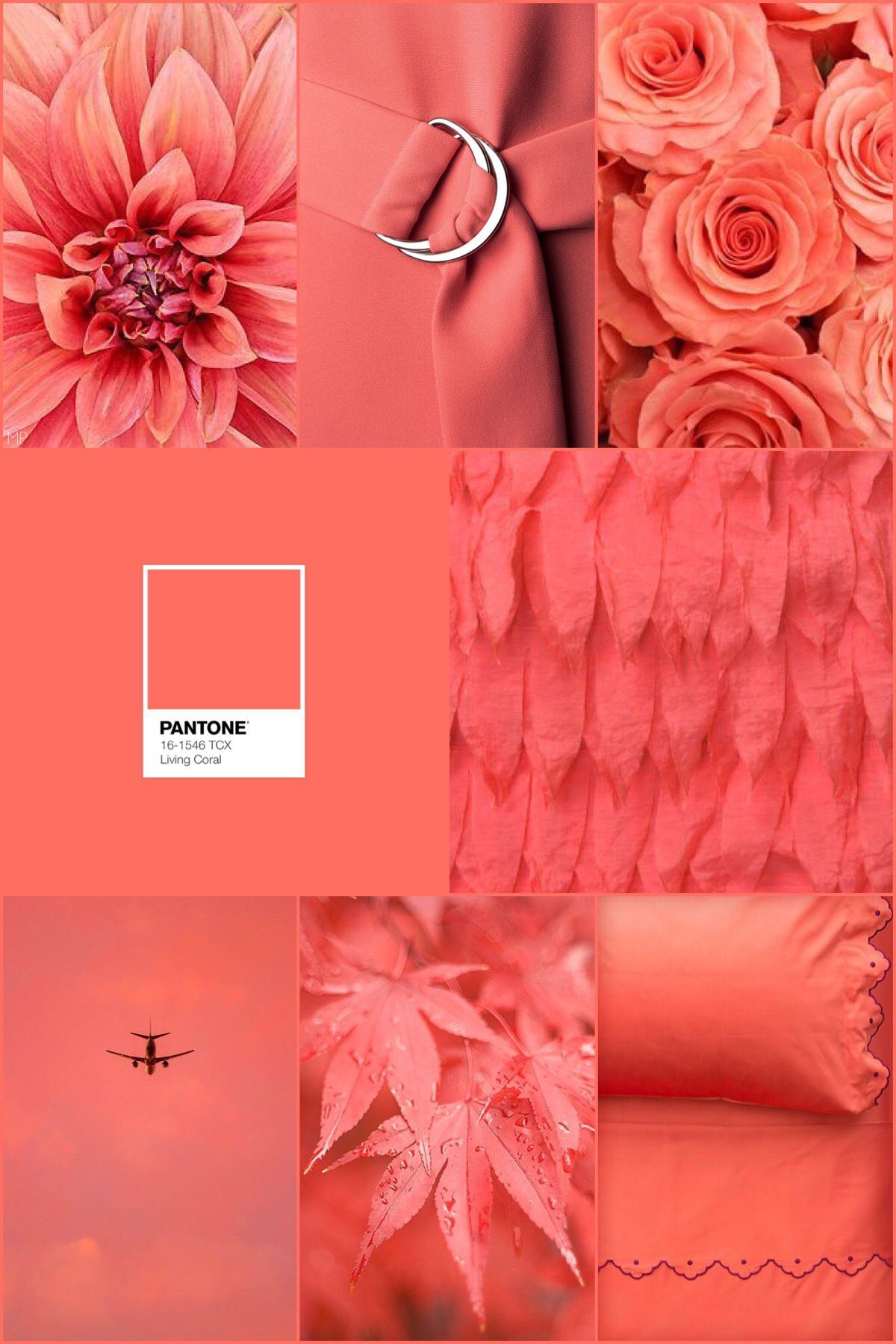 Coral Color Wallpapers