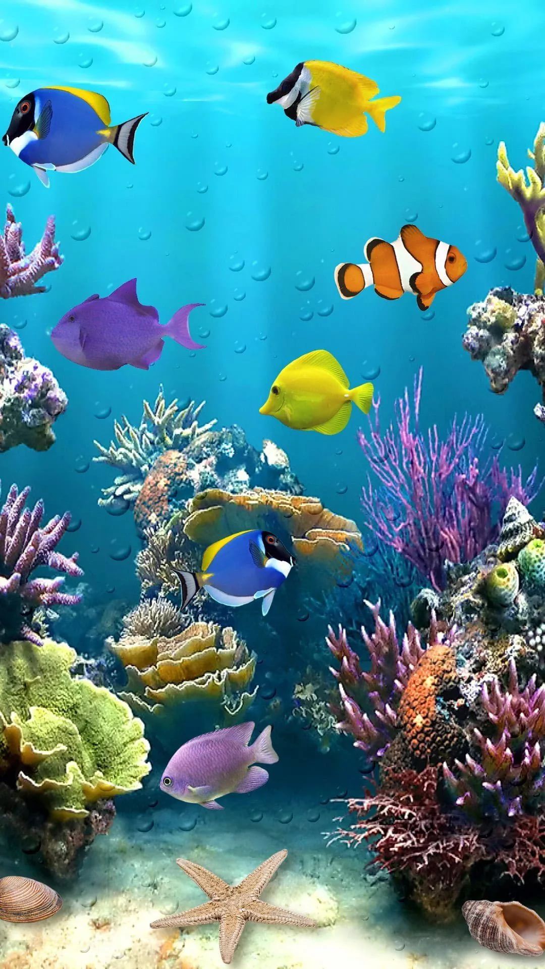 Coral Reef Iphone Wallpapers
