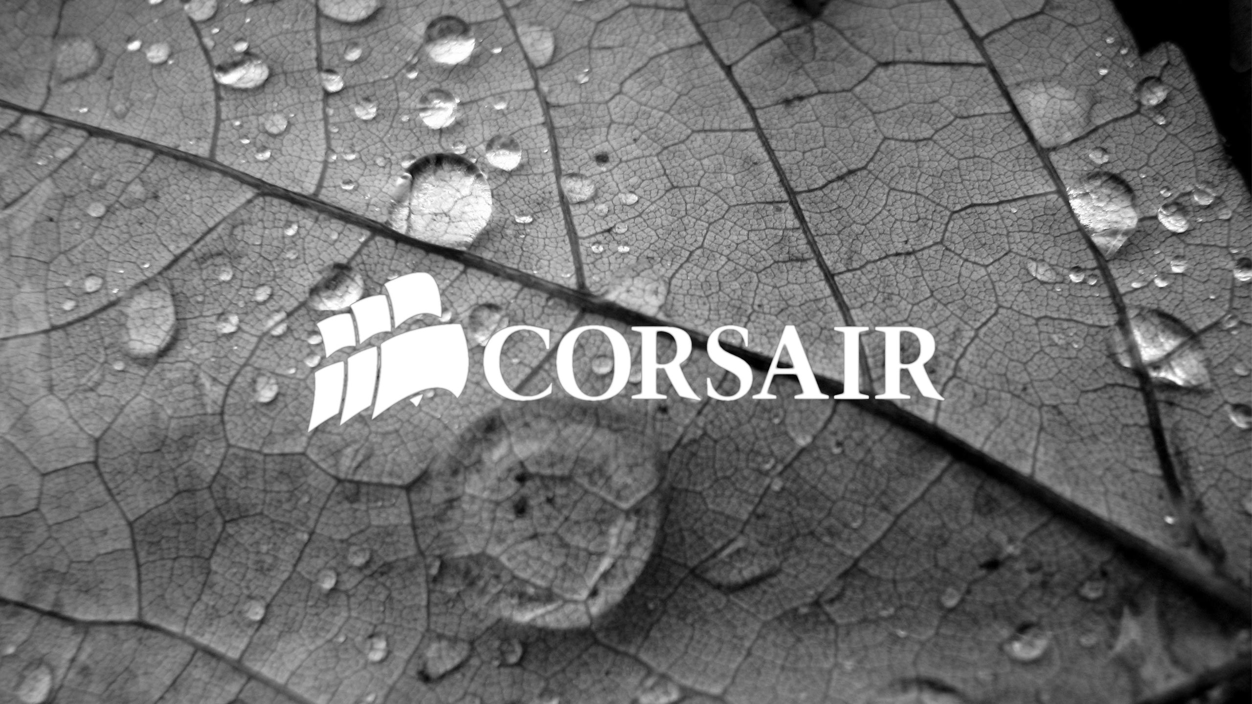 Corsair Hd Wallpapers