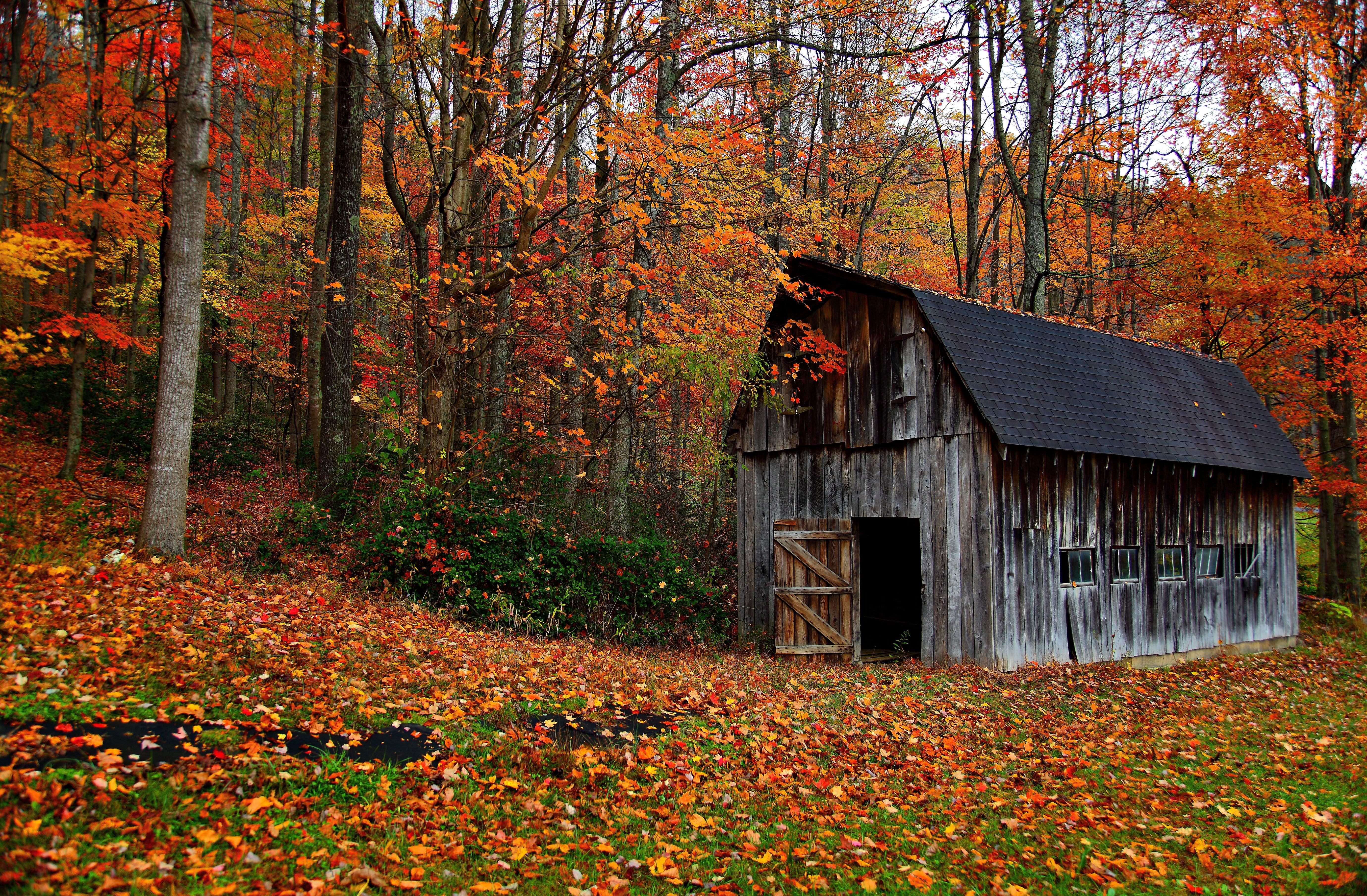 Country Fall Wallpapers