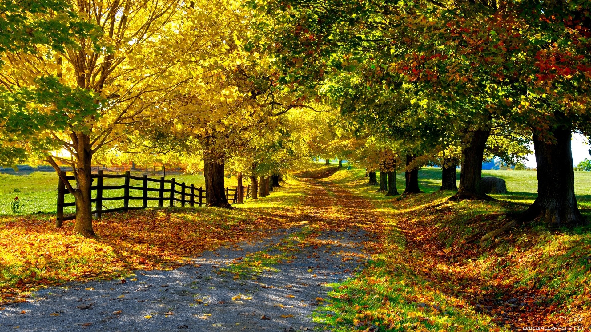 Country Fall Wallpapers