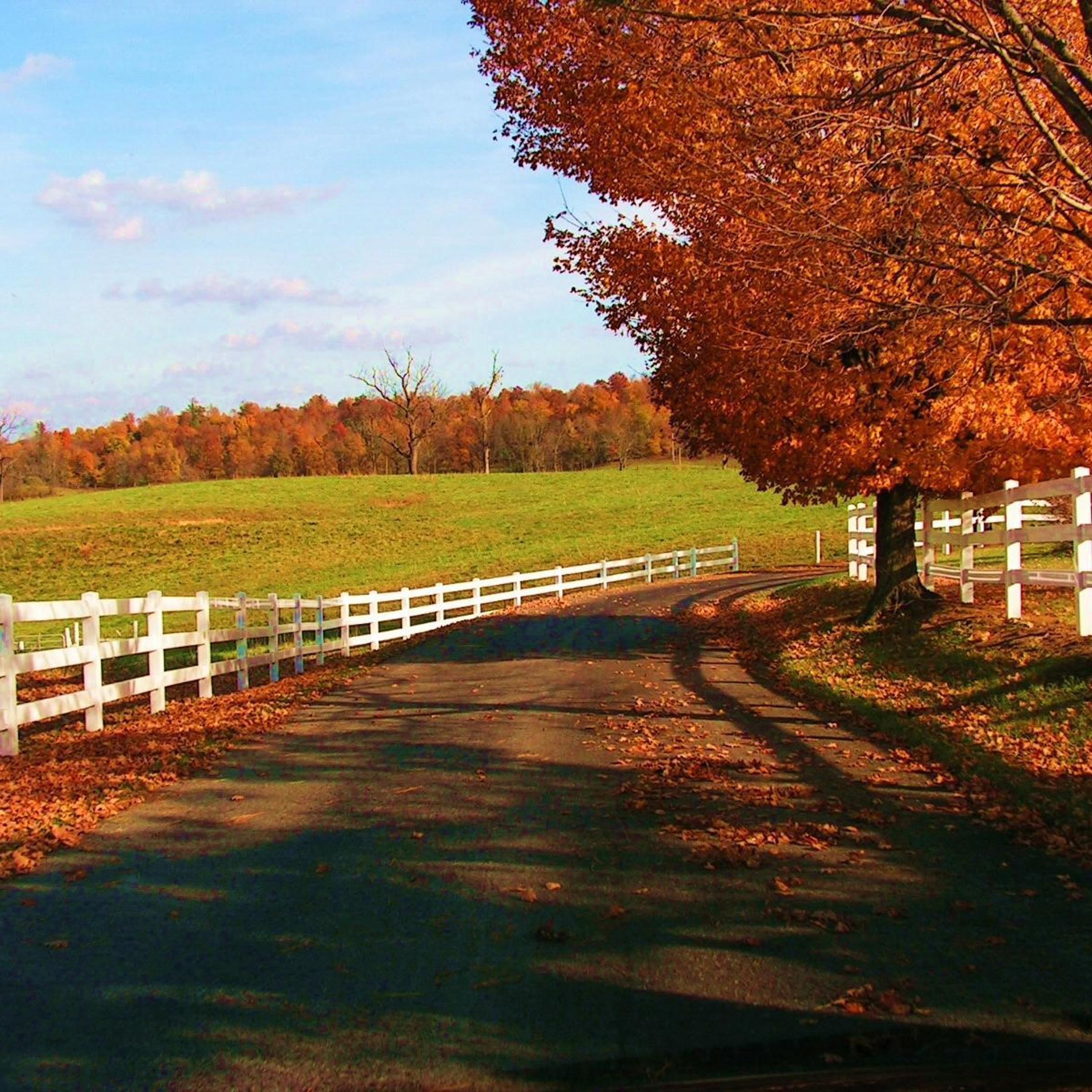 Country Fall Wallpapers