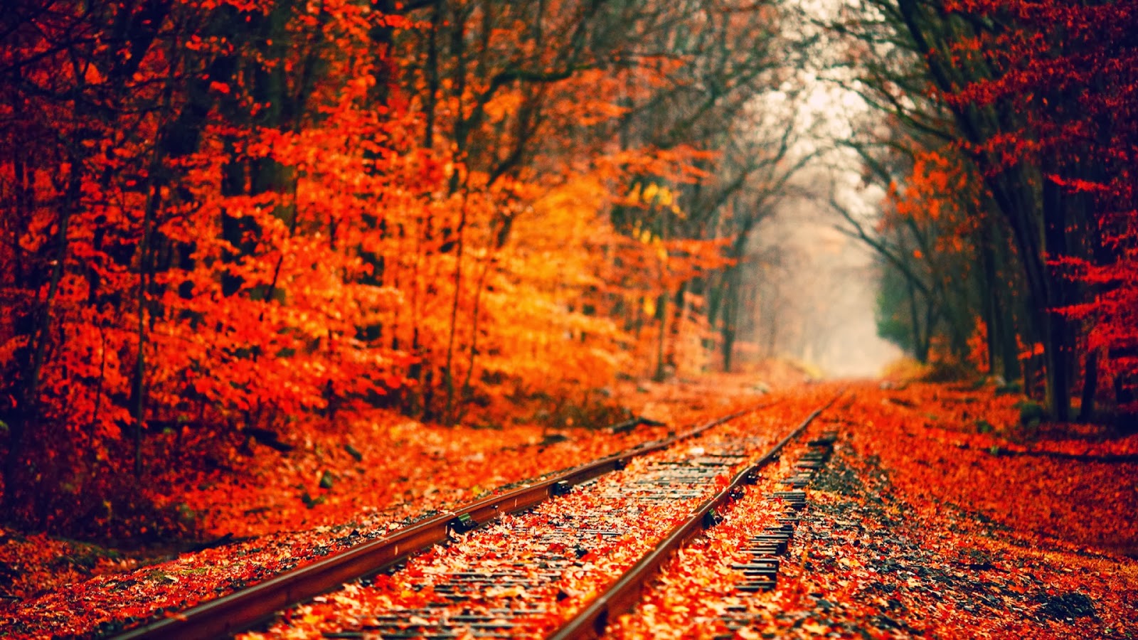 Country Fall Wallpapers