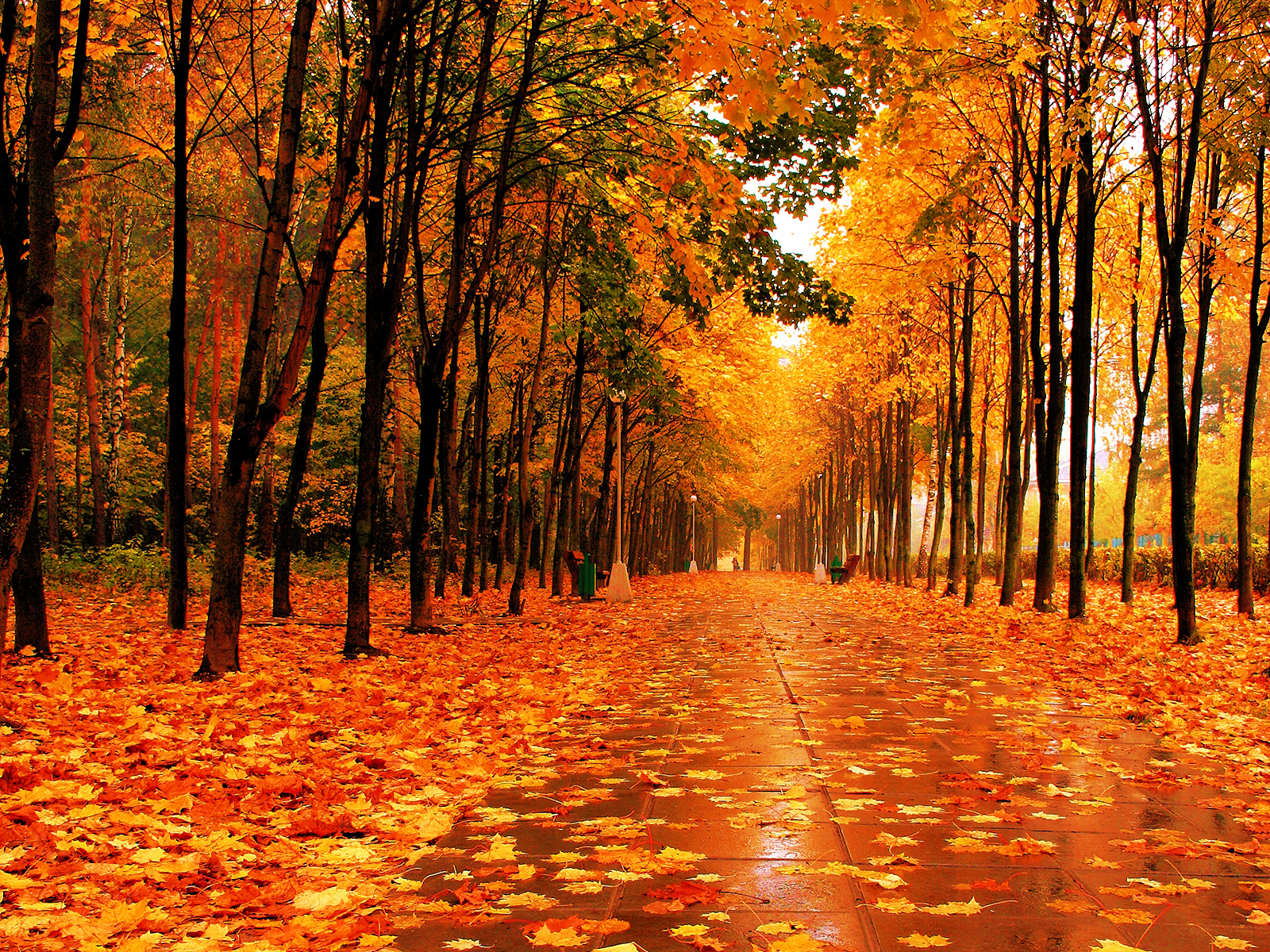 Country Fall Wallpapers