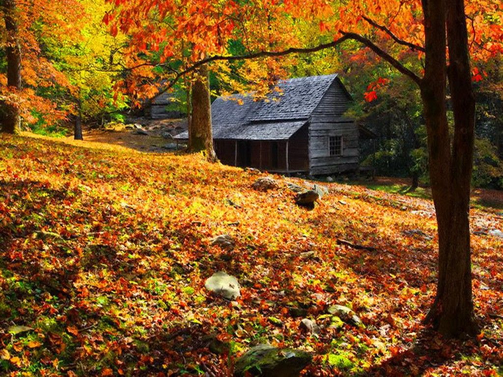 Country Fall Wallpapers