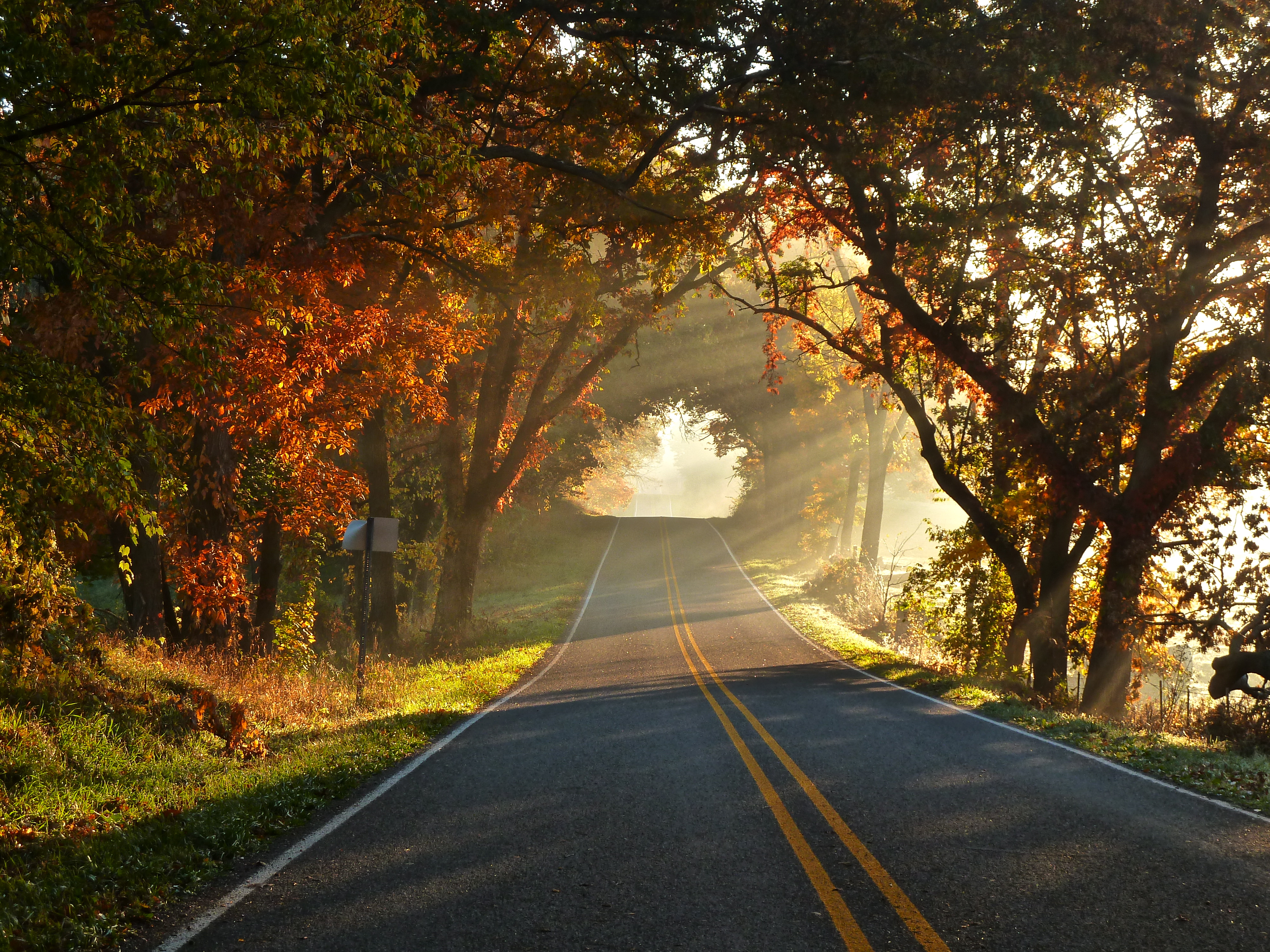 Country Road Wallpapers