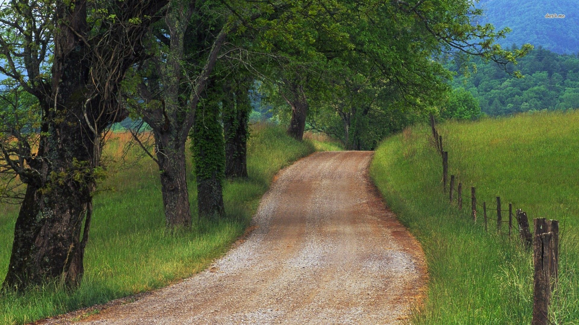 Country Road Wallpapers