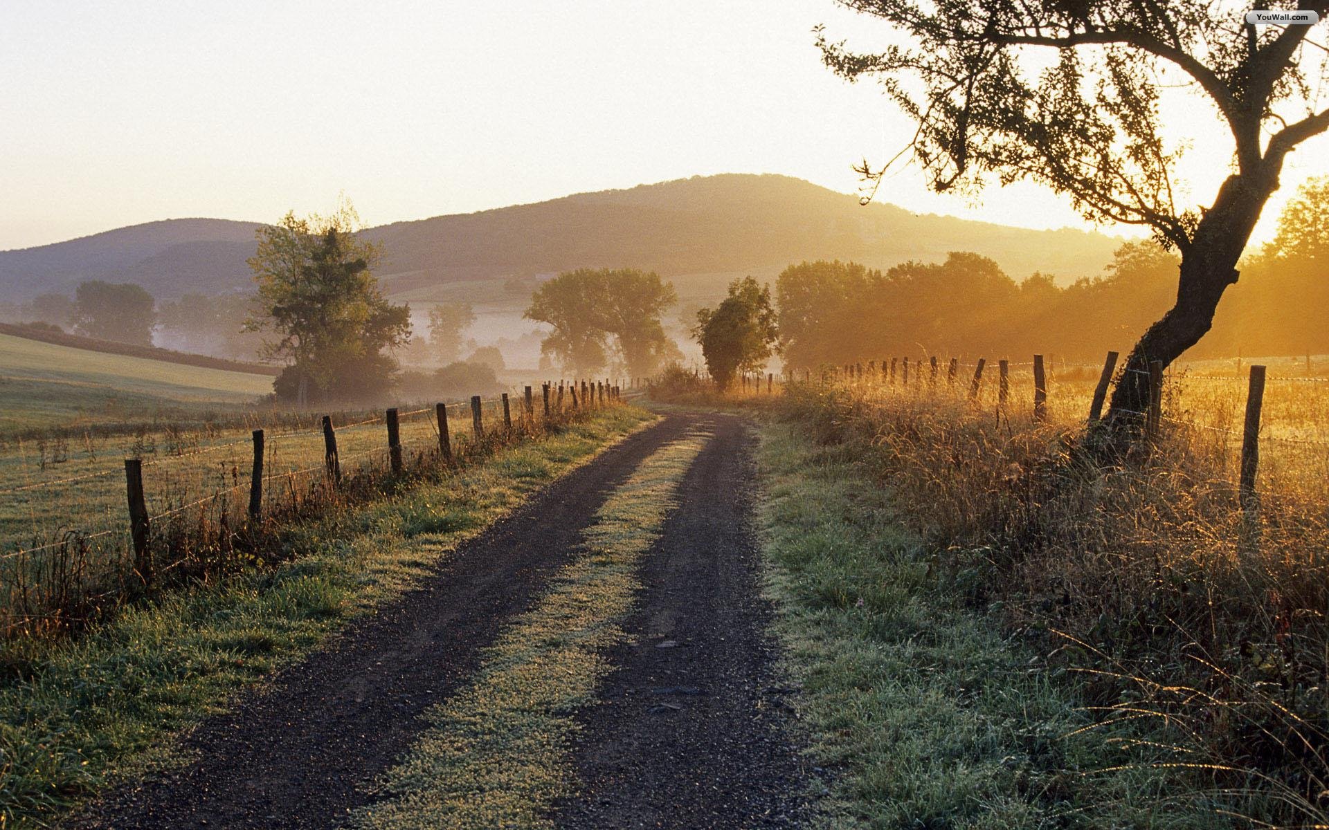 Country Road Wallpapers