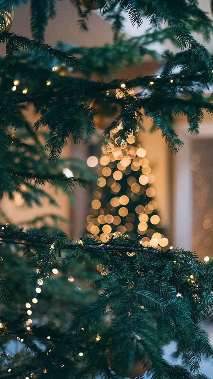 Cozy Christmas Aesthetic Wallpapers