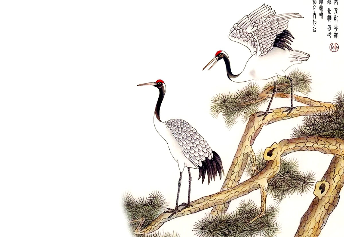 Crane Bird Wallpapers