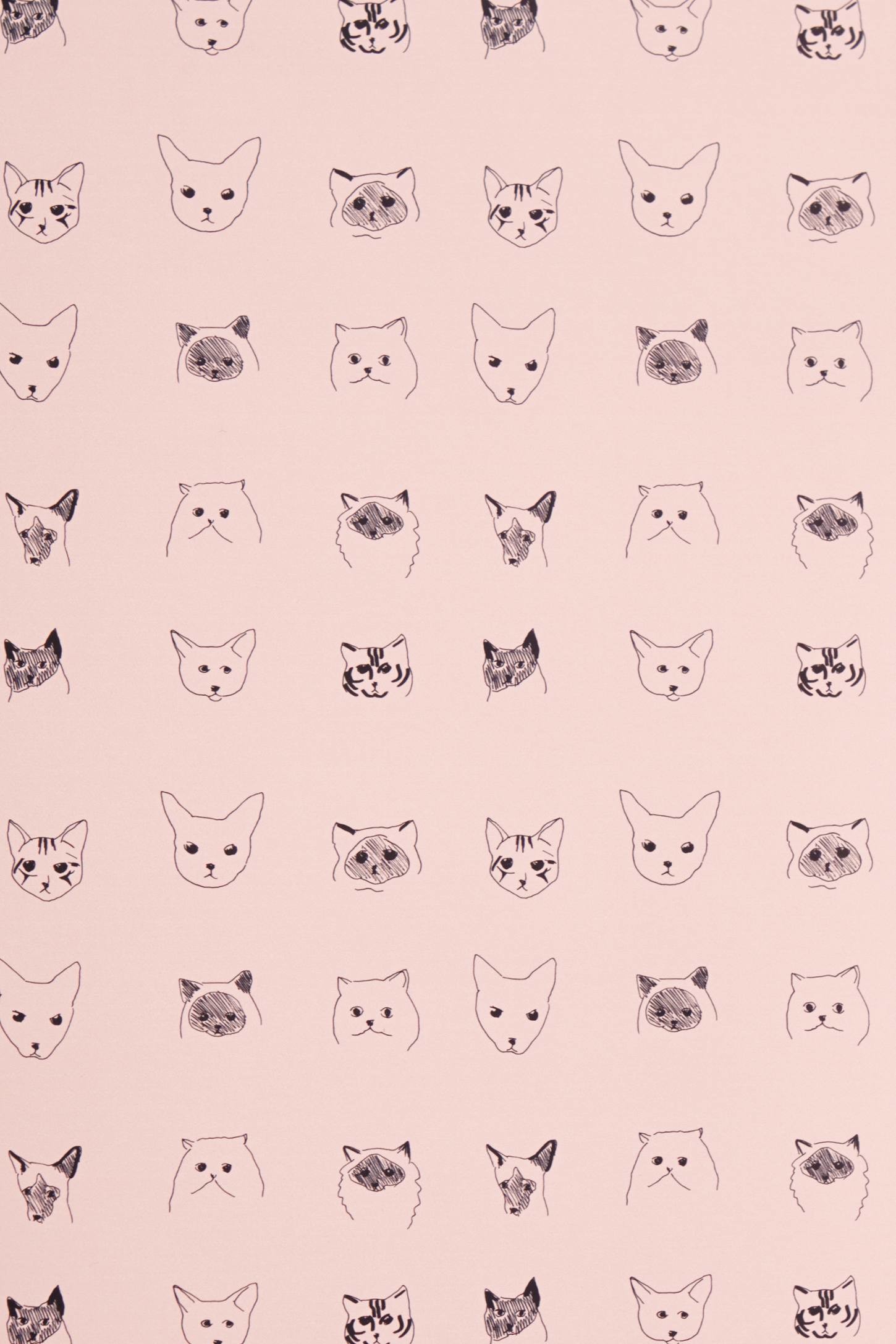 Crazy Cat Lady Wallpapers