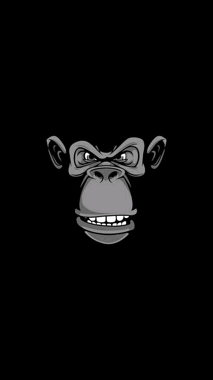 Crazy Monkey Pics Wallpapers