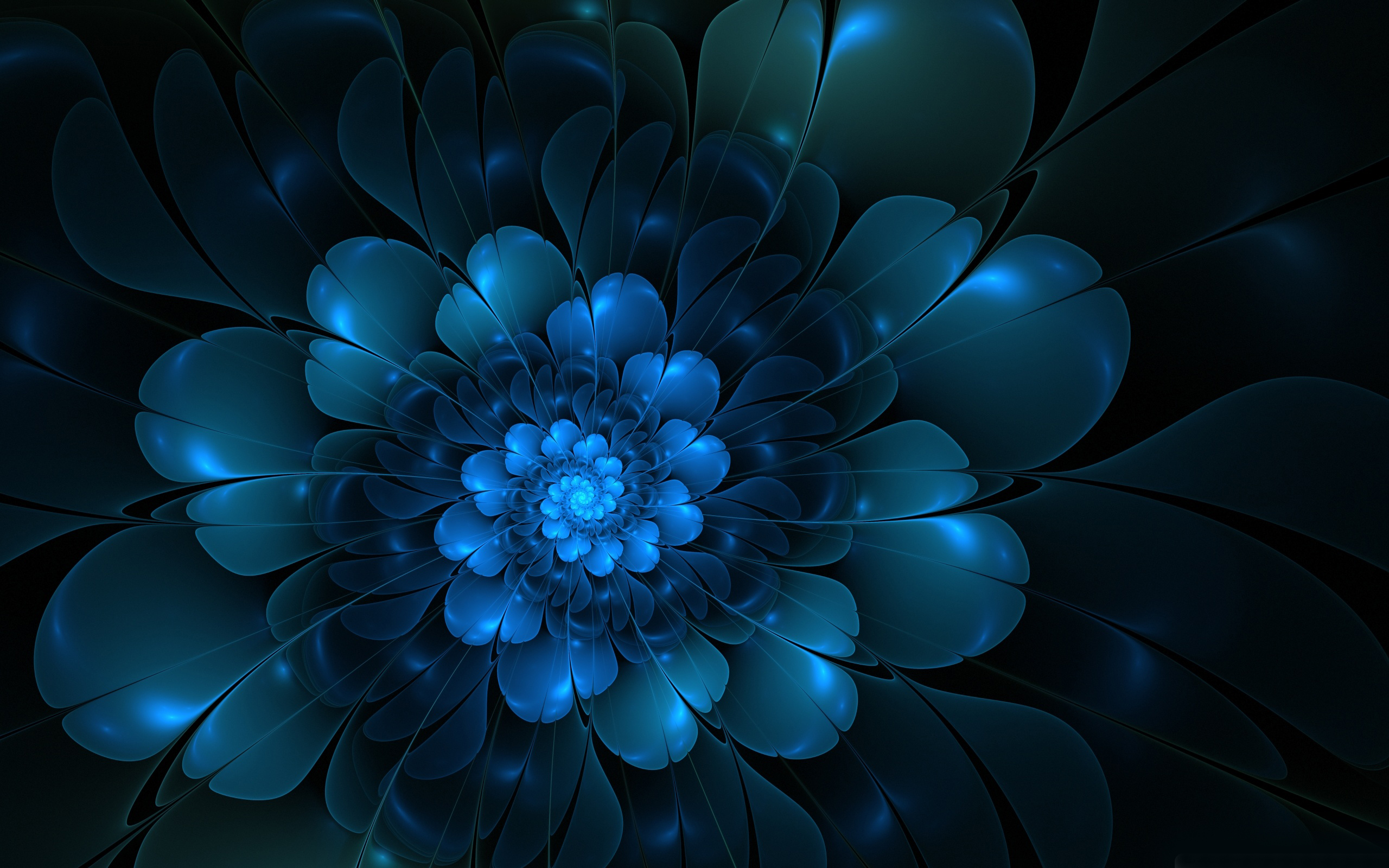 Creative Flower Wallpapers