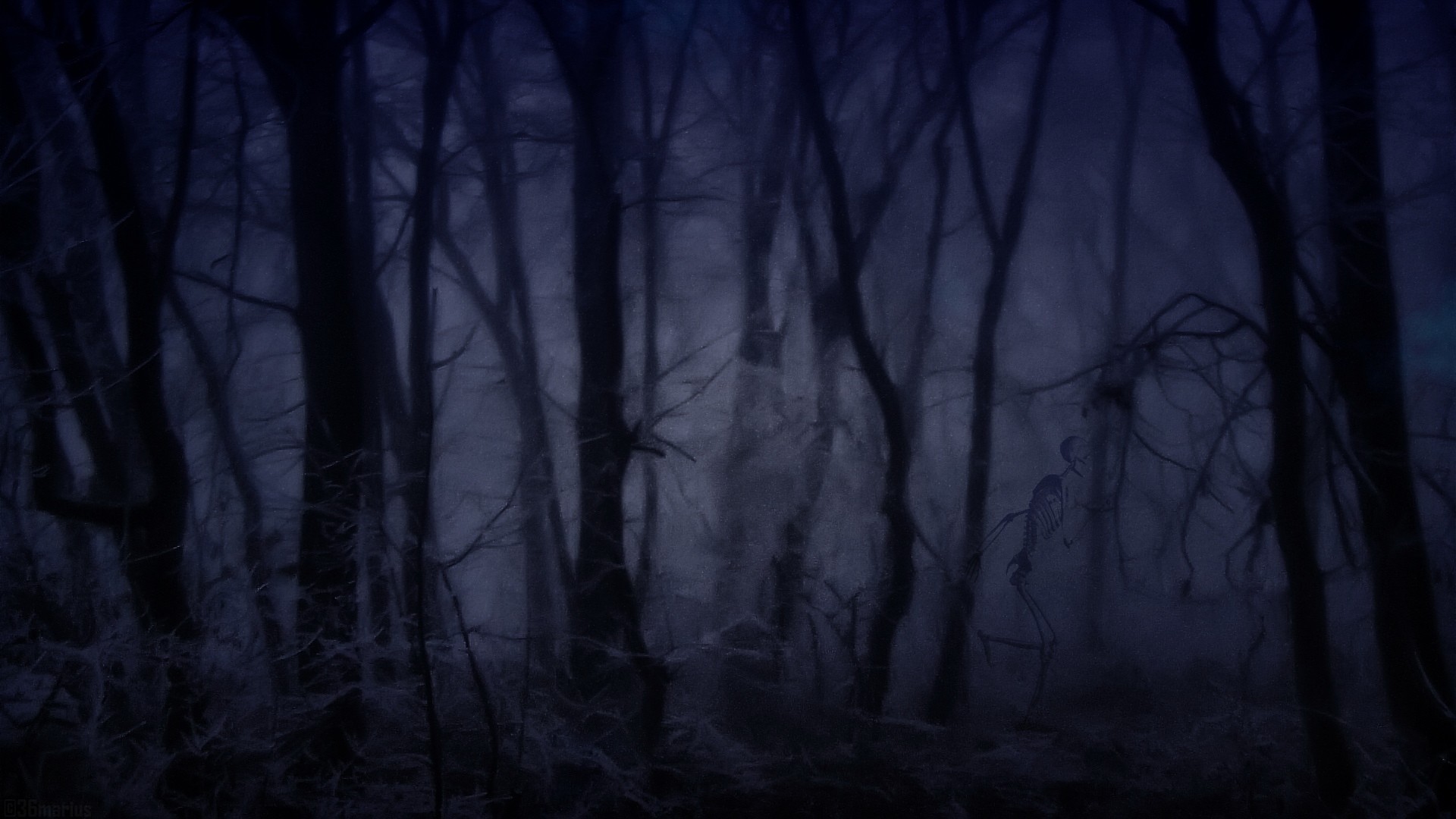 Creepy Foggy Forest Wallpapers