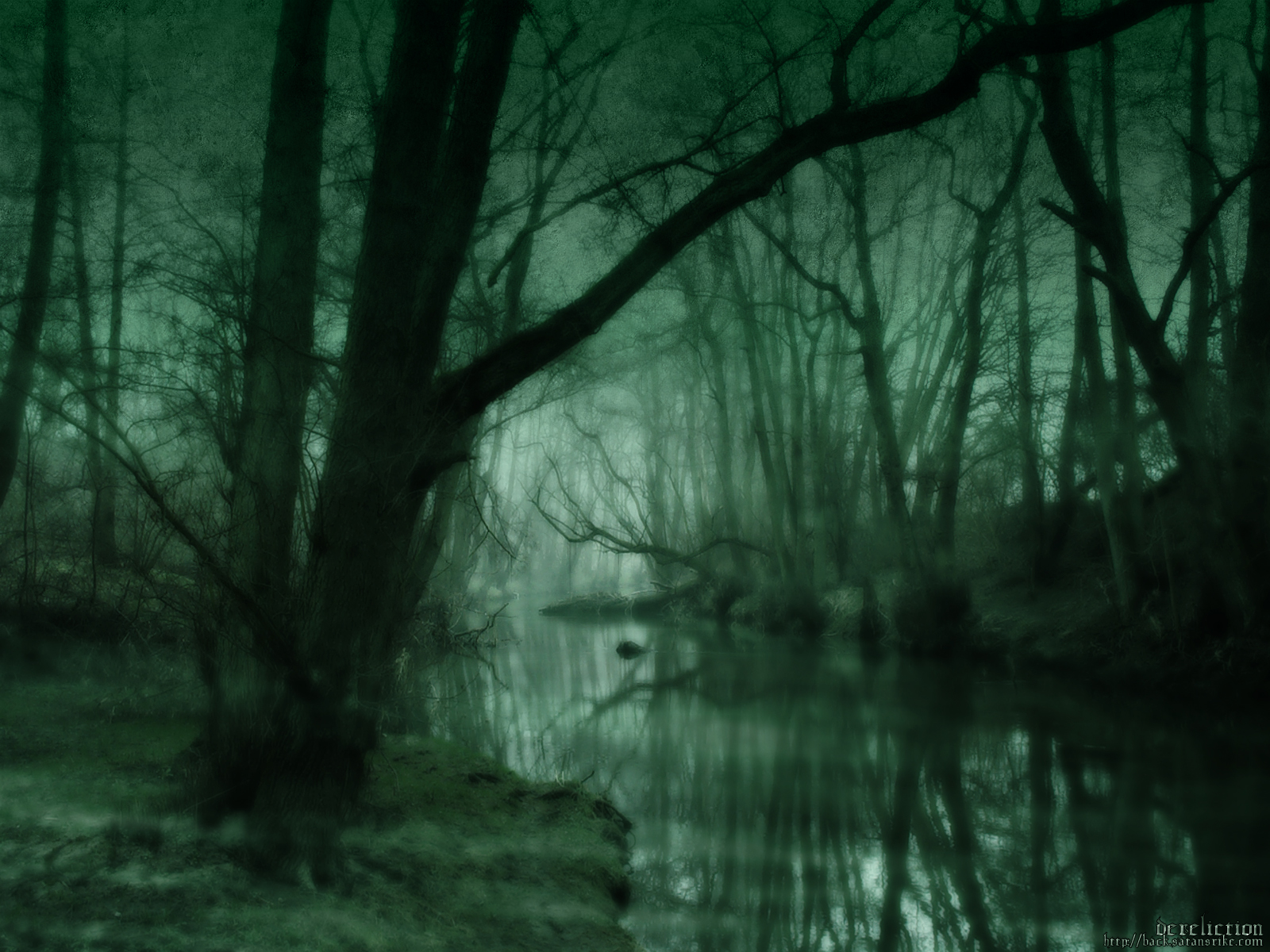 Creepy Foggy Forest Wallpapers