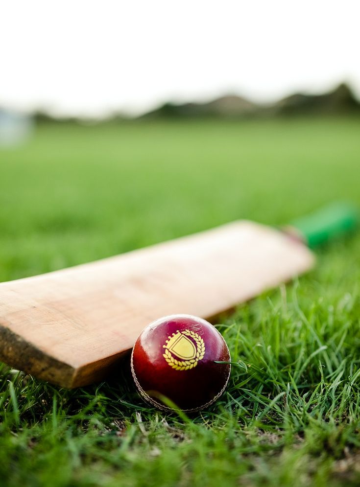 Cricket Paddle And Ball Wallpapers