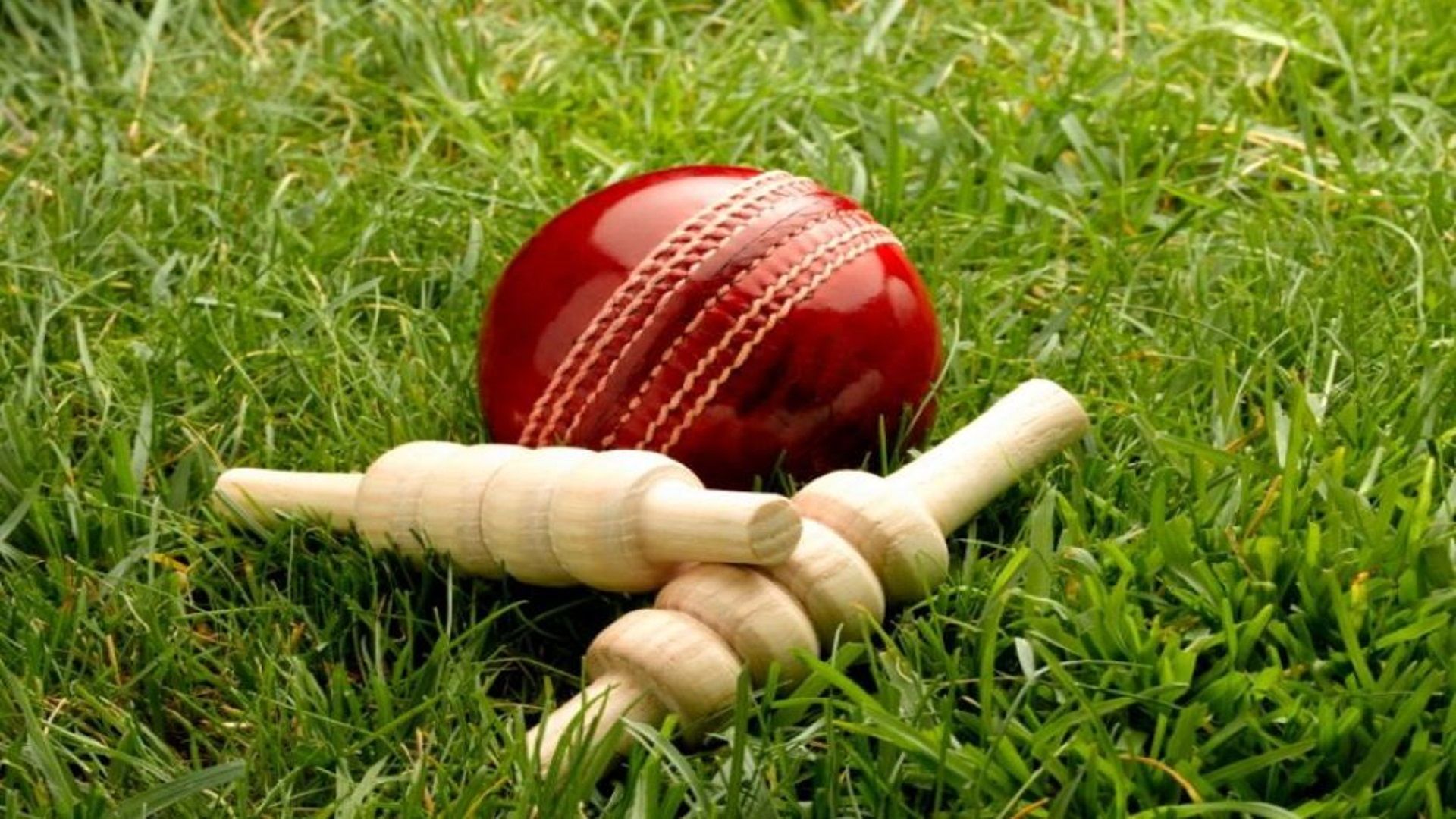 Cricket Paddle And Ball Wallpapers