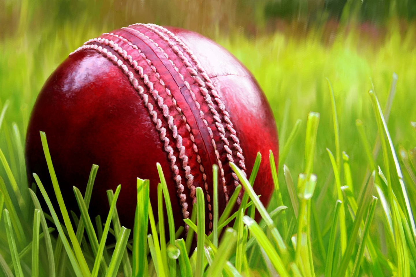 Cricket Paddle And Ball Wallpapers