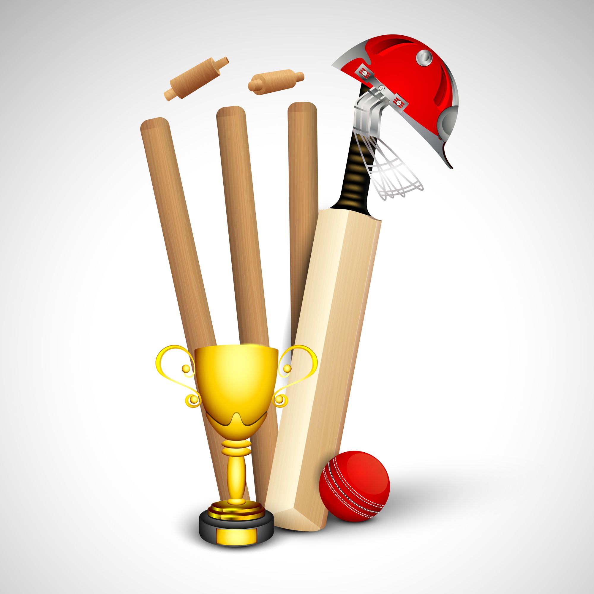 Cricket Paddle And Ball Wallpapers