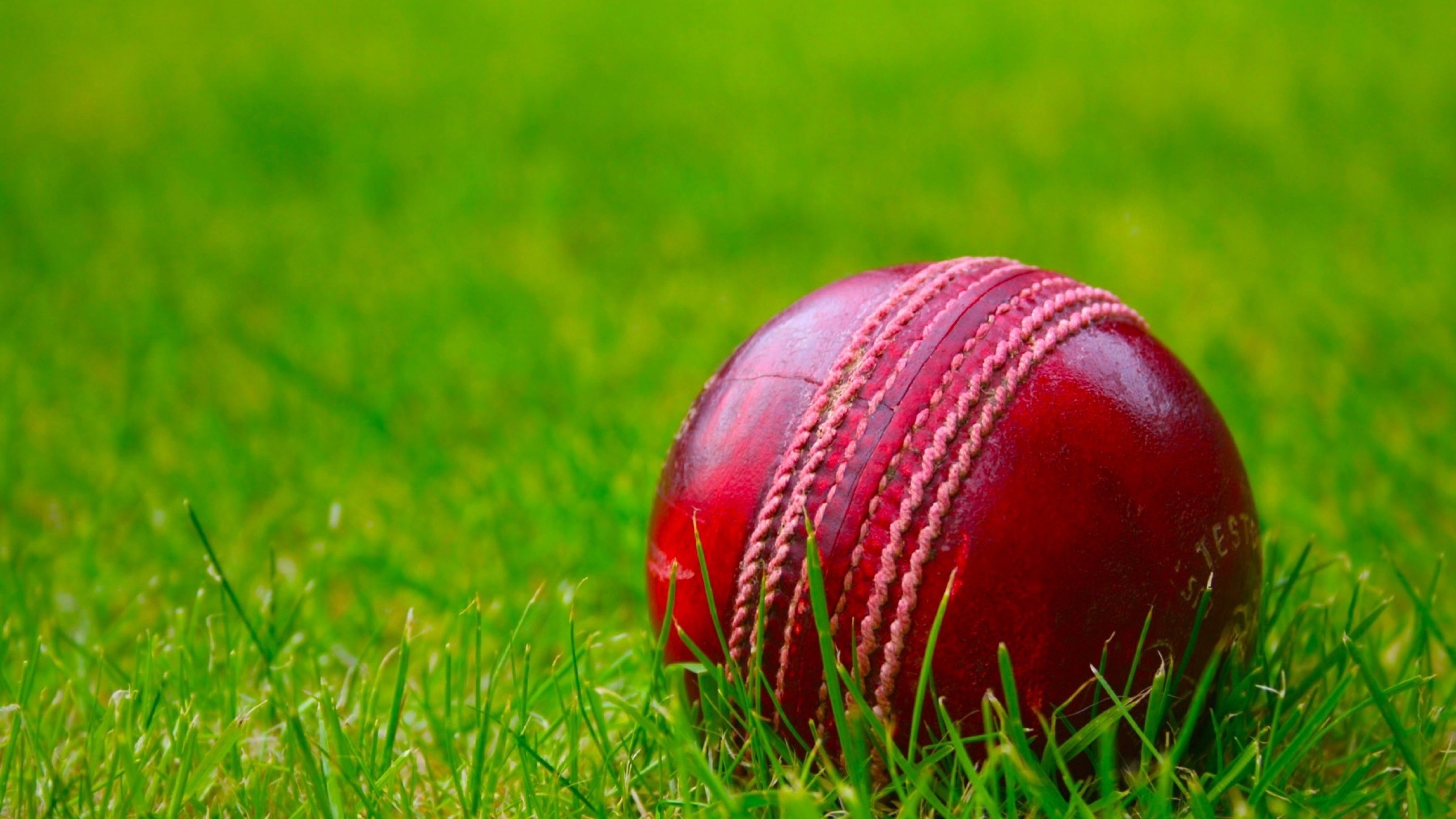 Cricket Paddle And Ball Wallpapers