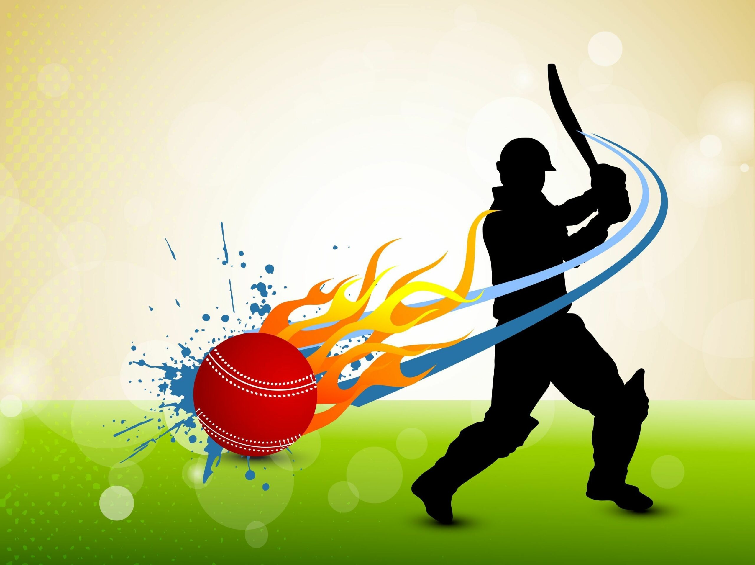 Cricket Paddle And Ball Wallpapers