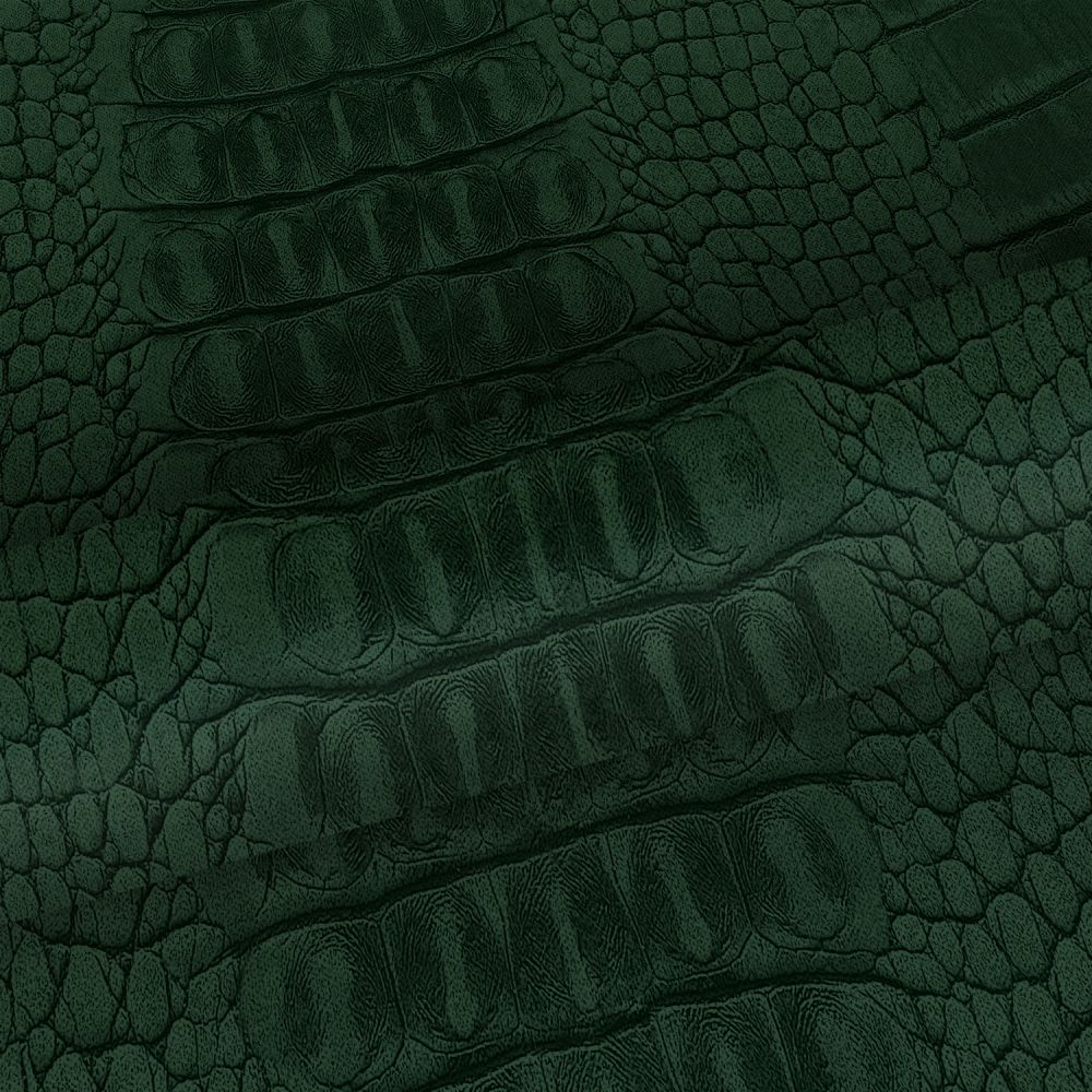 Croc Wallpapers