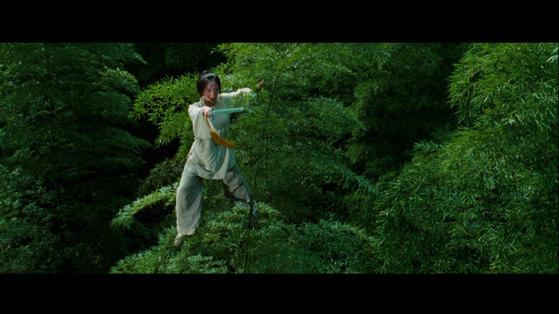 Crouching Tiger Hidden Dragon Wallpapers