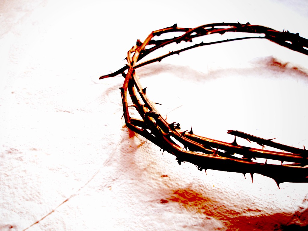 Crown Of Thorns Wallpapers