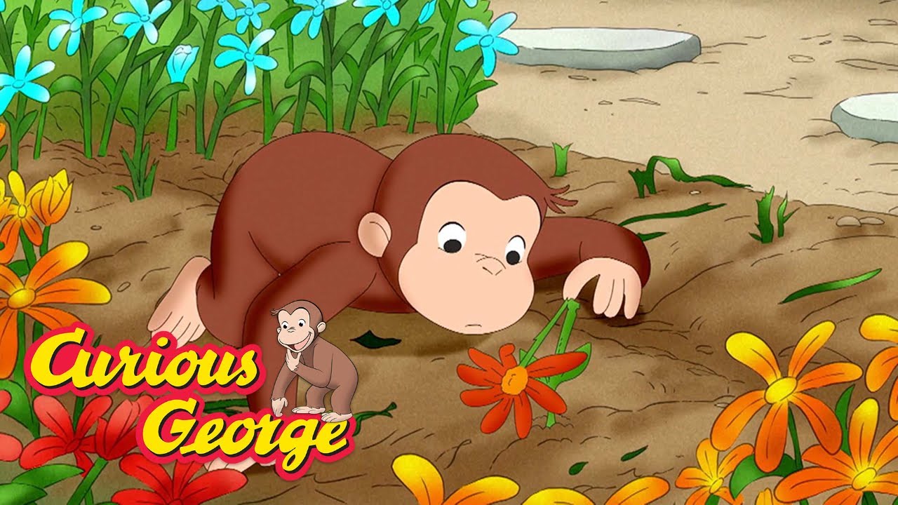 Curious George Wallpapers