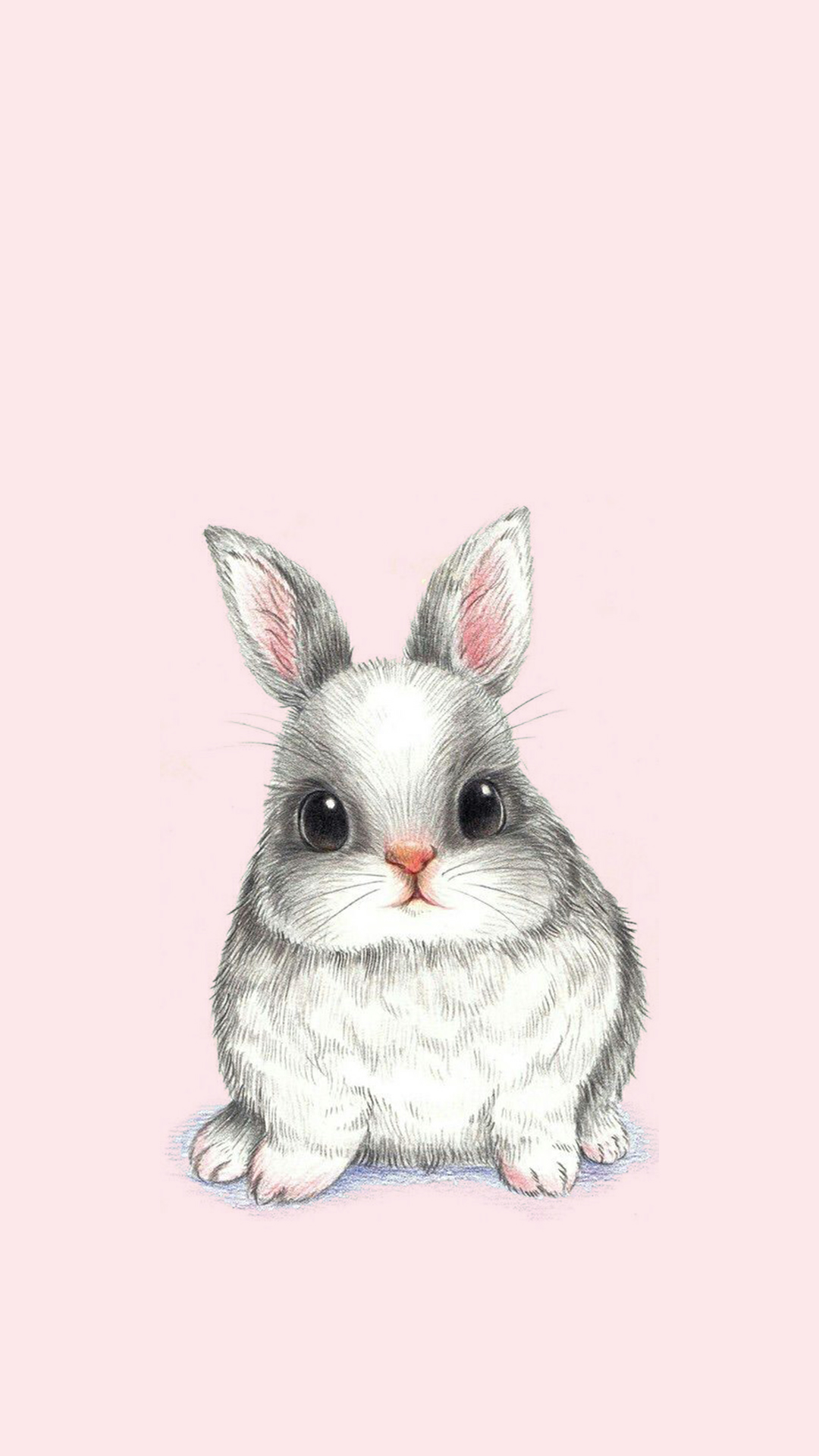 Cute Animal Drawings Wallpapers