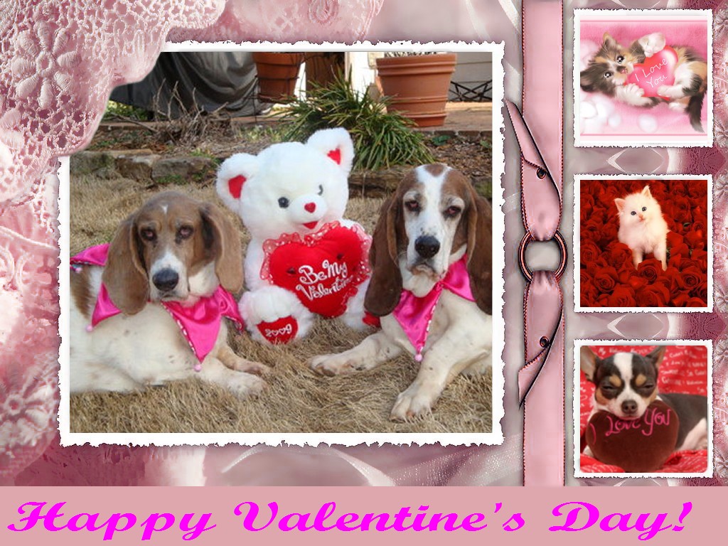 Cute Animal Valentines Day Wallpapers