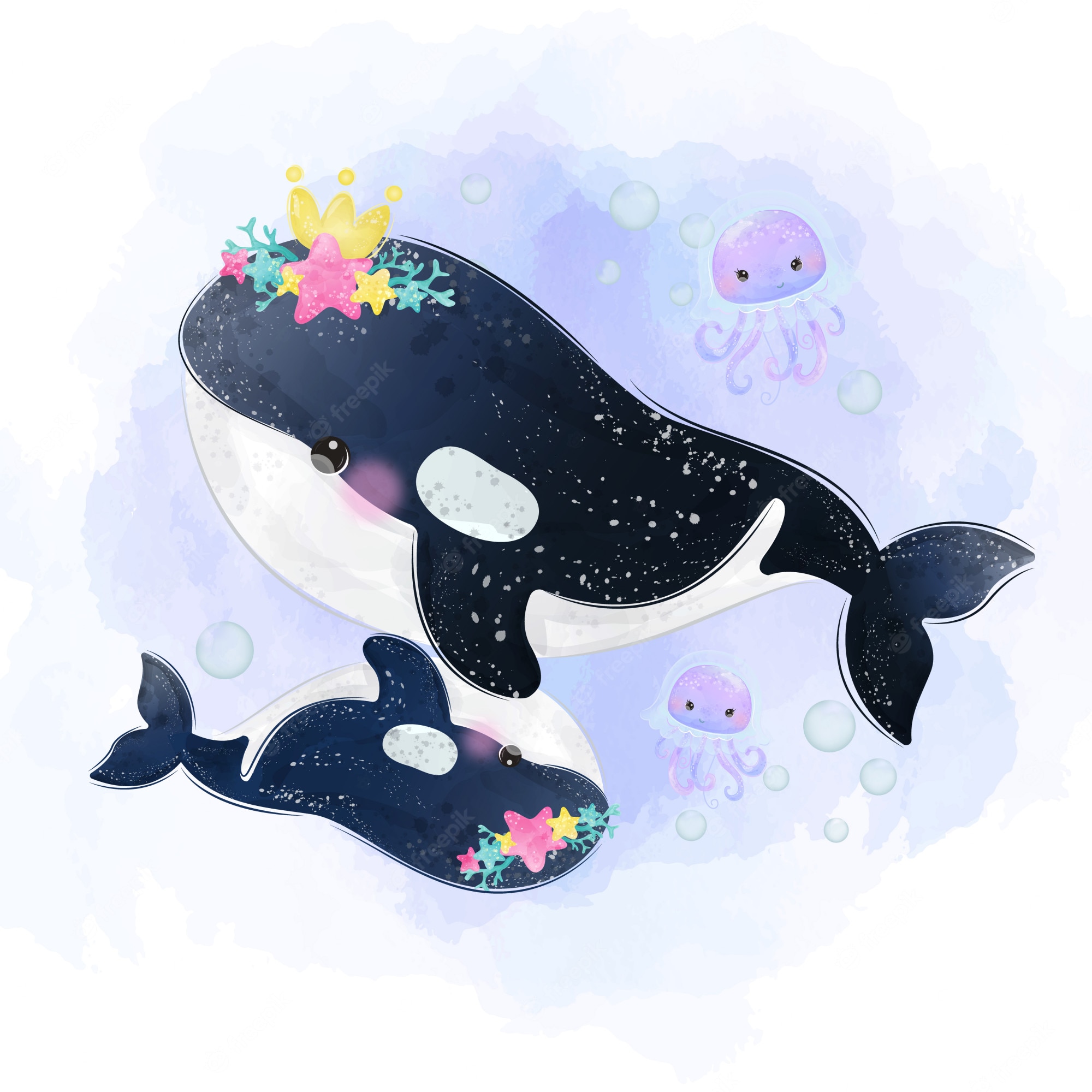 Cute Baby Orca Wallpapers