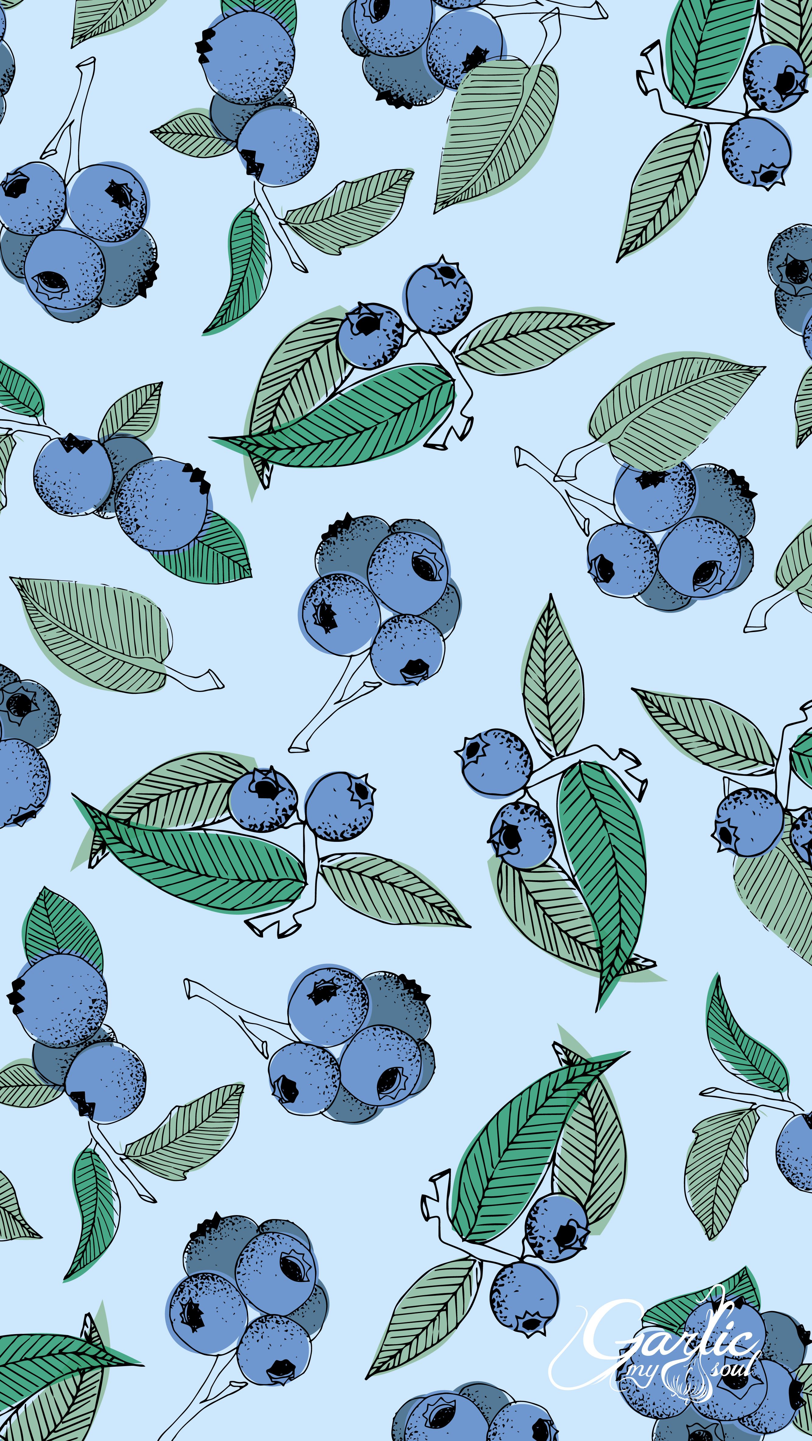 Cute Blueberry Wallpapers