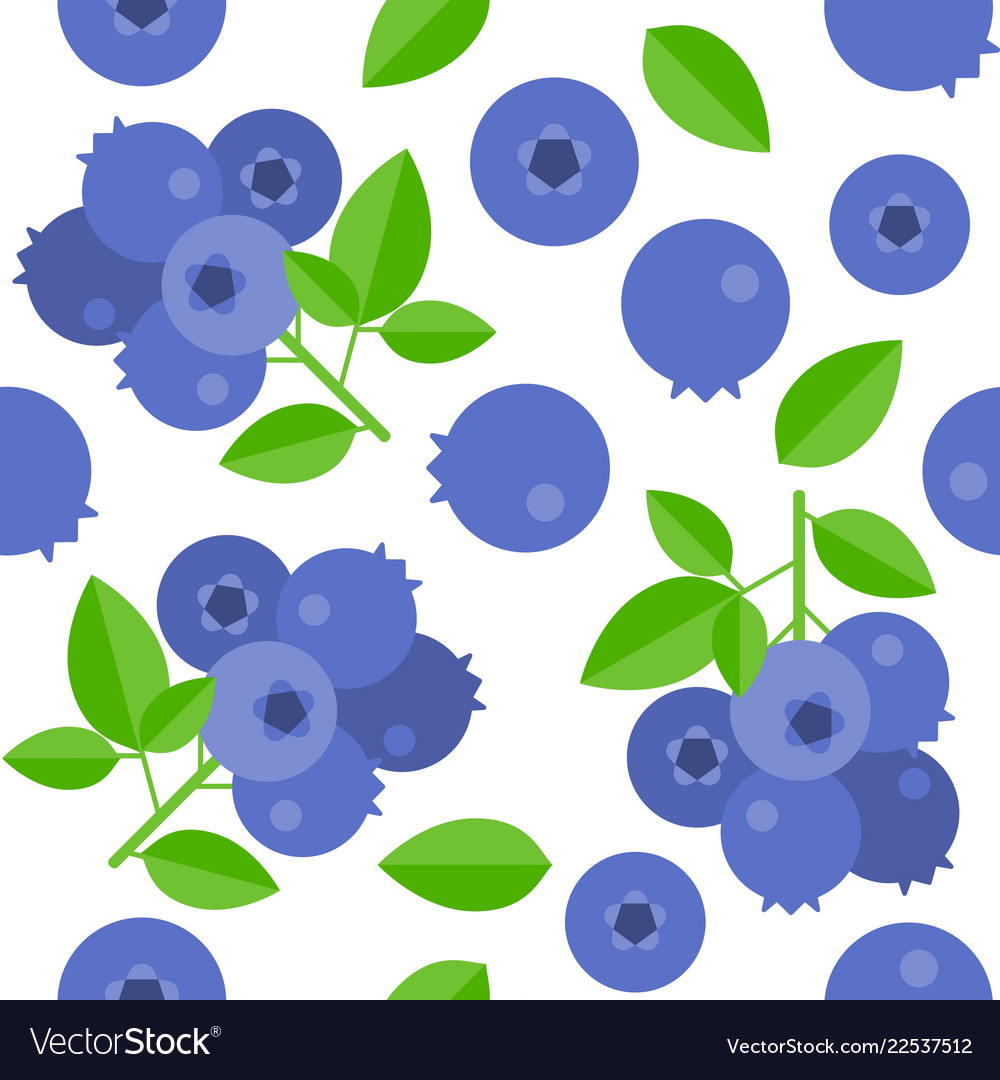 Cute Blueberry Wallpapers