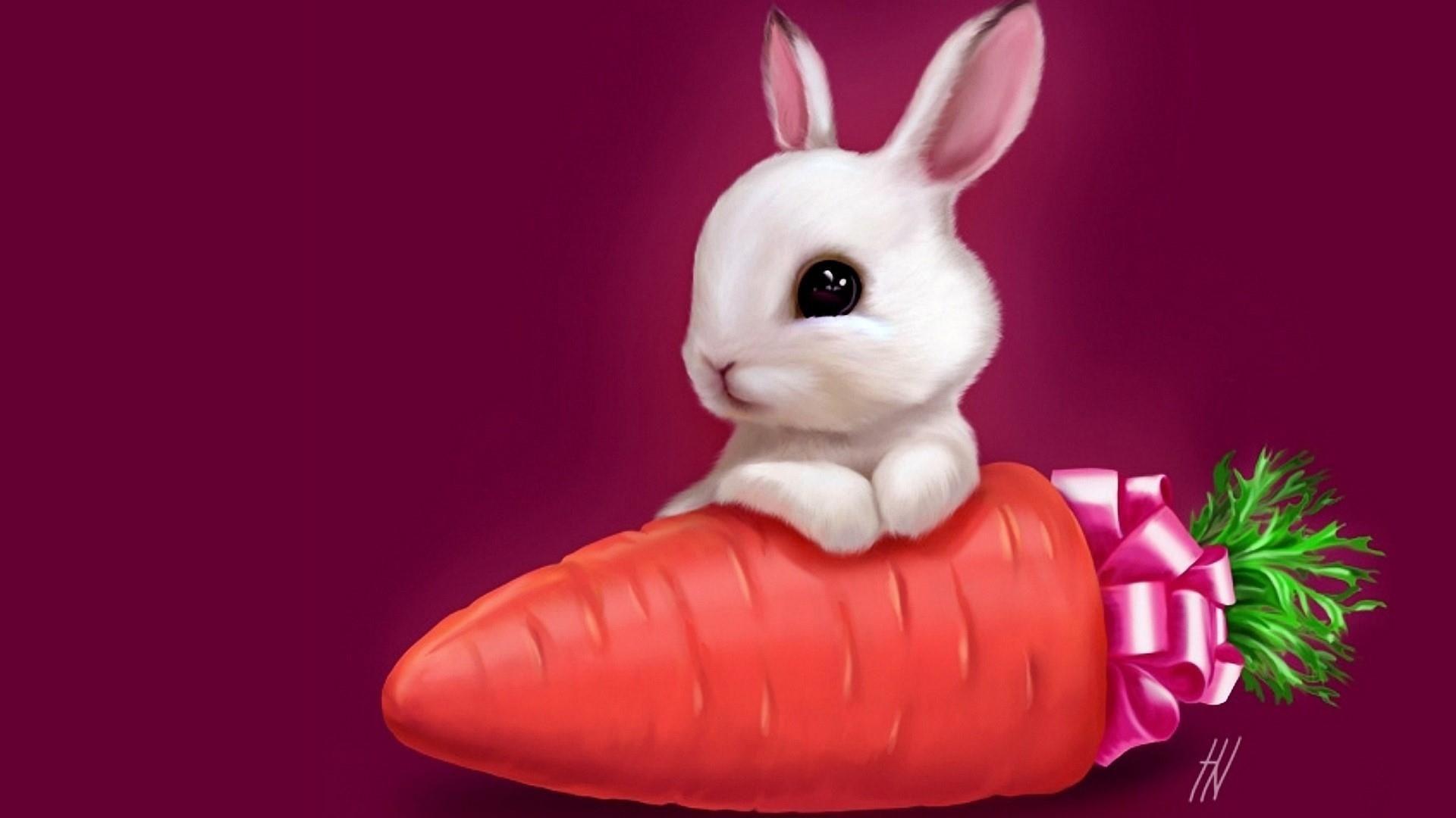 Cute Carrot Wallpapers