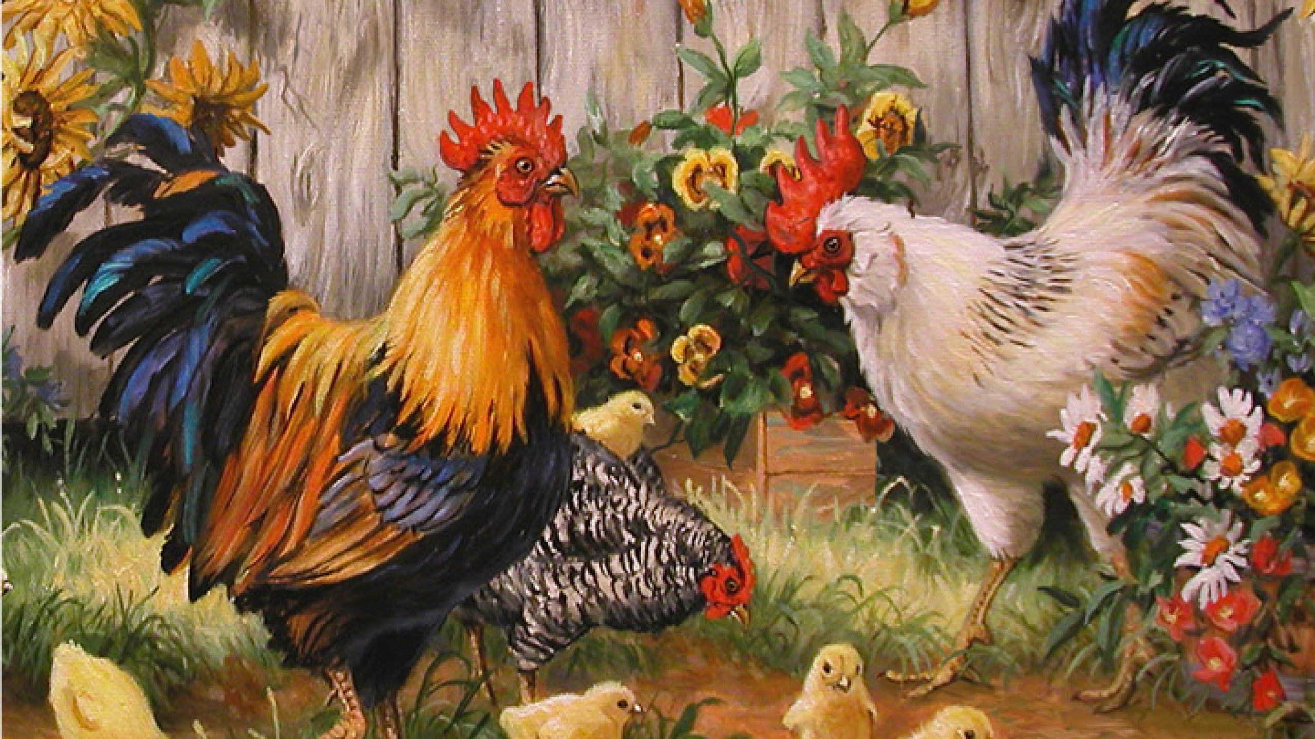 Cute Chicken Art Wallpapers