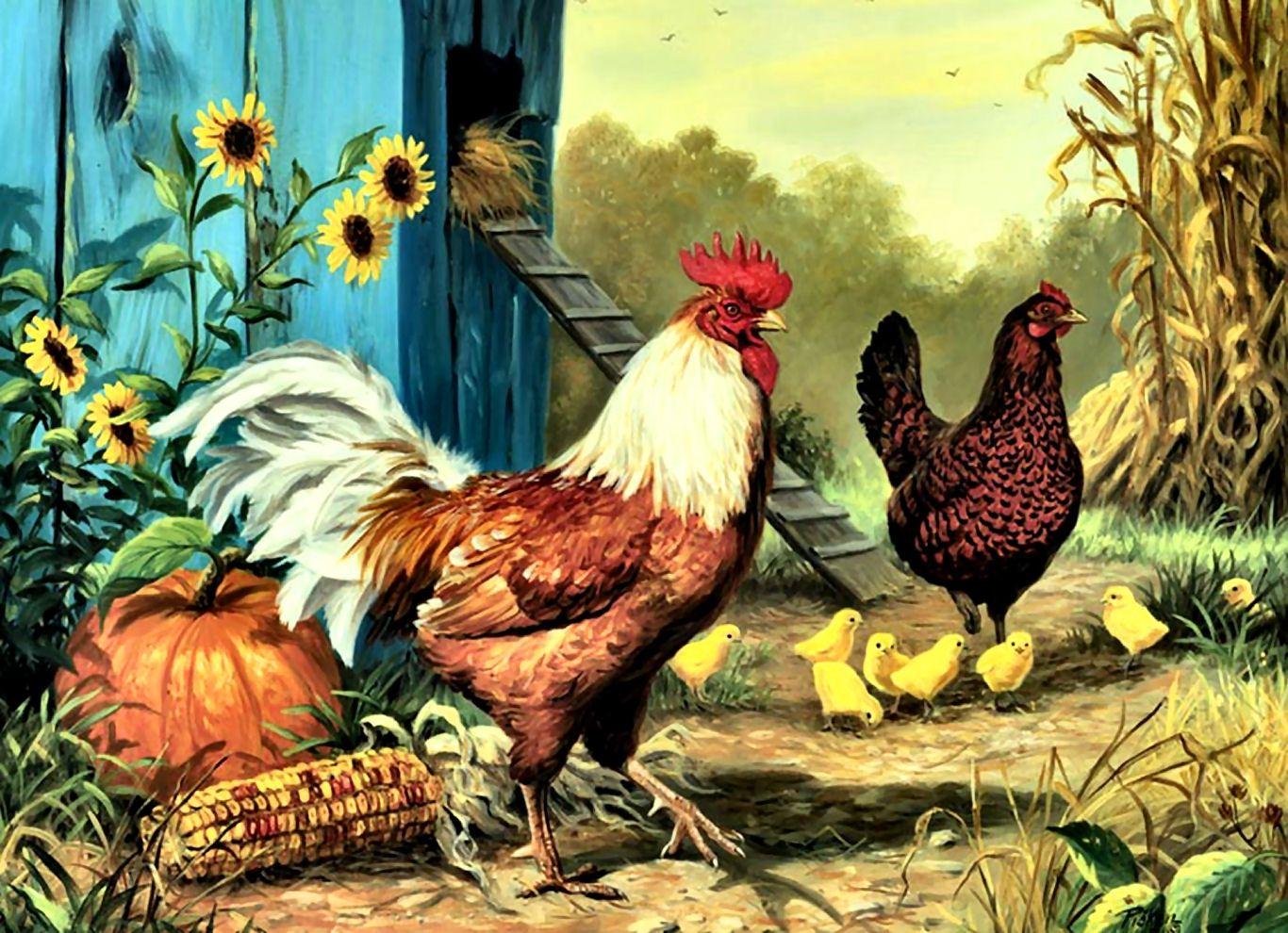 Cute Chicken Art Wallpapers