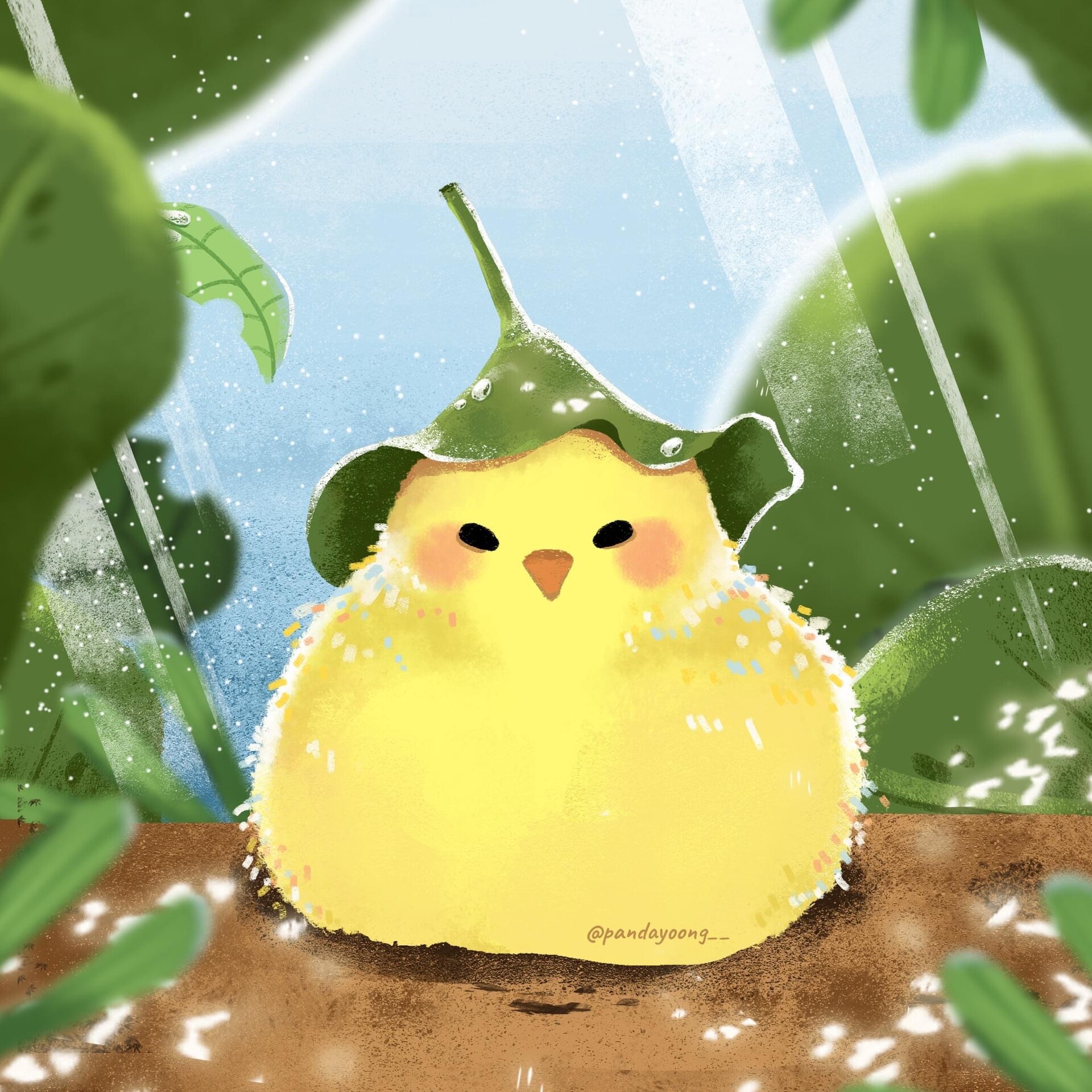 Cute chubby Chicken Art