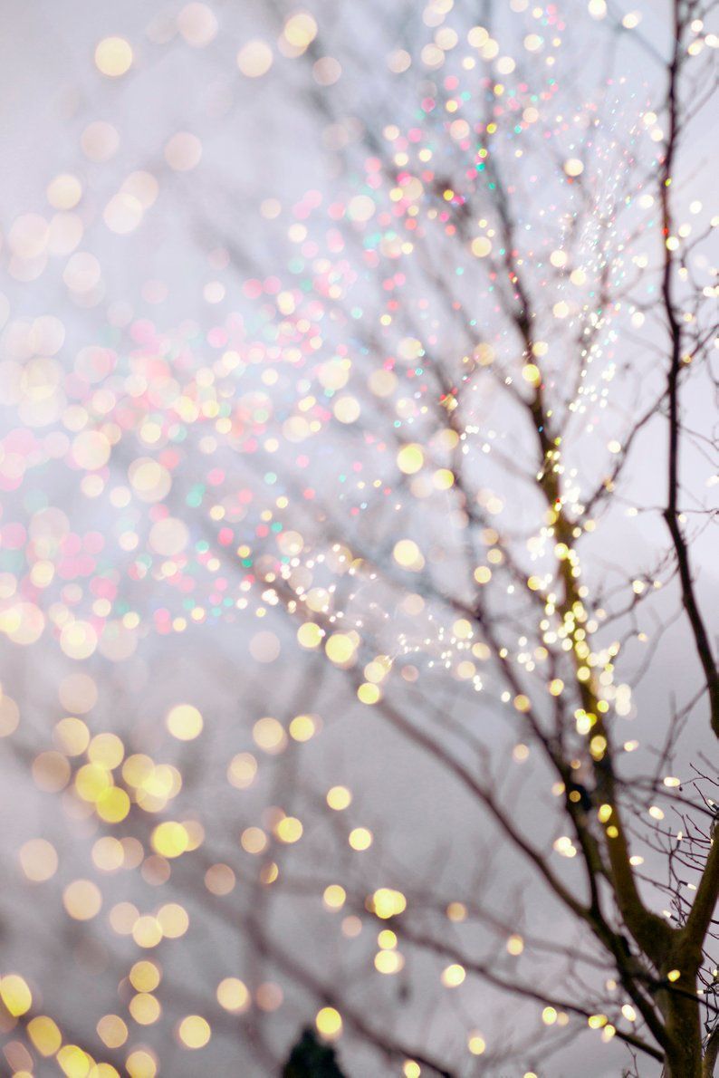 Cute Fairy Light Wallpapers